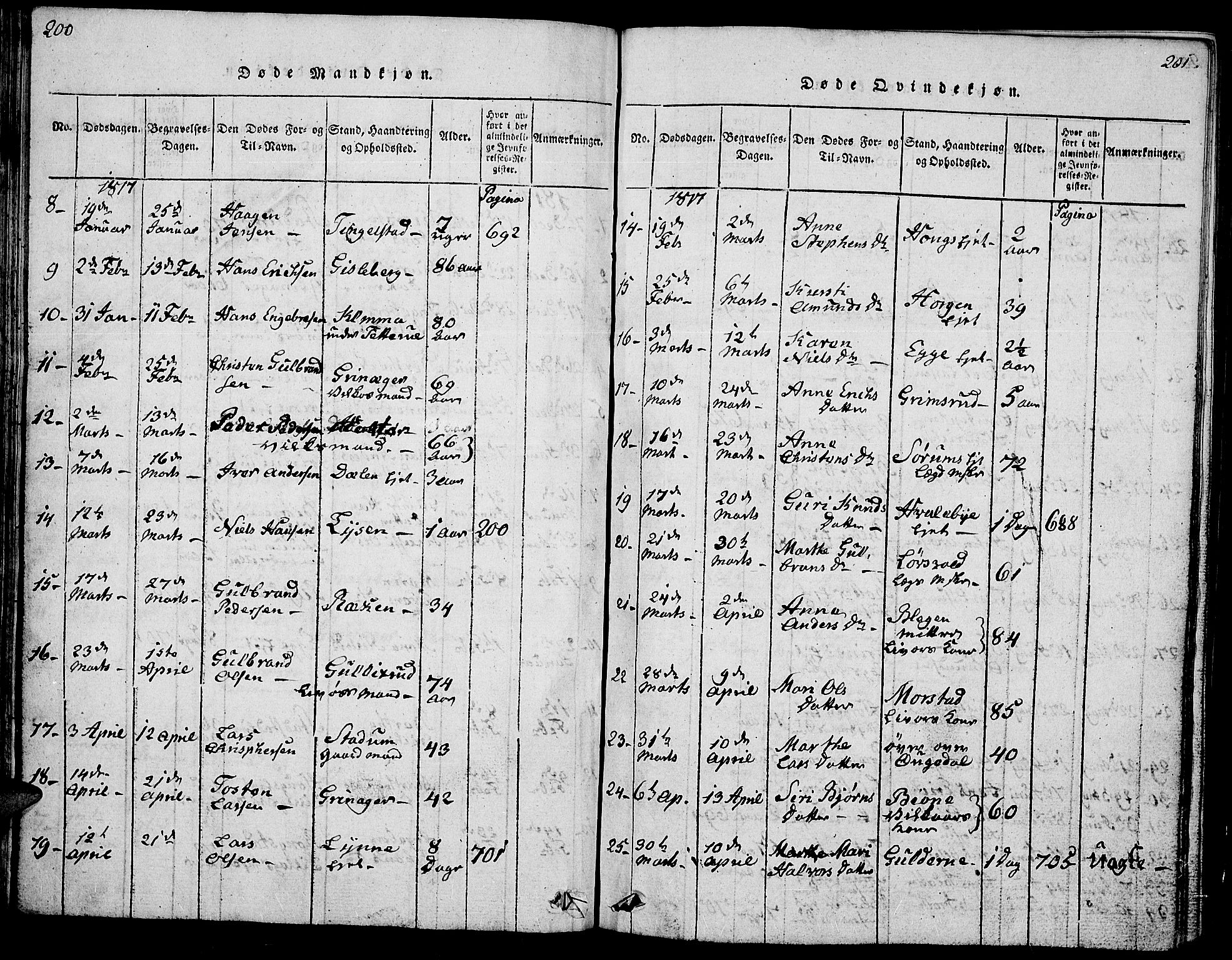 Gran prestekontor, SAH/PREST-112/H/Ha/Hab/L0001: Parish register (copy) no. 1, 1815-1824, p. 200-201
