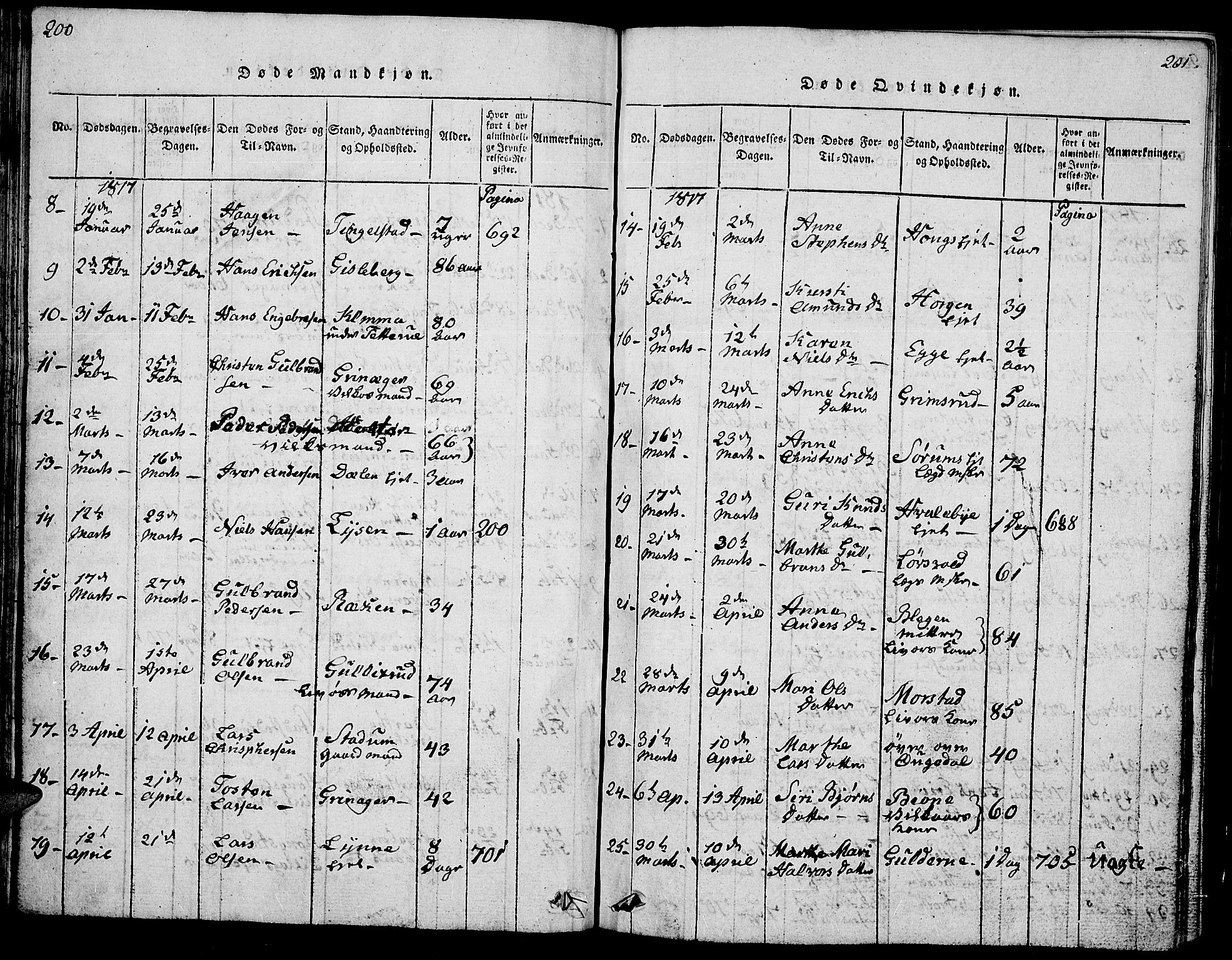 Gran prestekontor, AV/SAH-PREST-112/H/Ha/Hab/L0001: Parish register (copy) no. 1, 1815-1824, p. 200-201