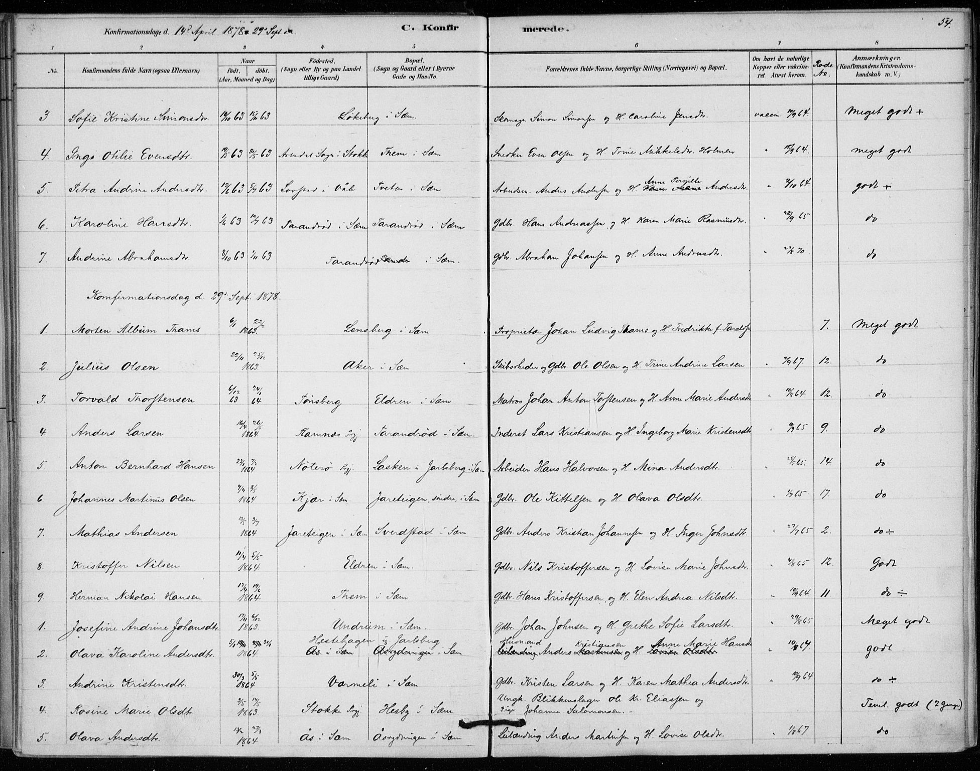 Sem kirkebøker, AV/SAKO-A-5/F/Fa/L0010: Parish register (official) no. I 10, 1878-1887, p. 54