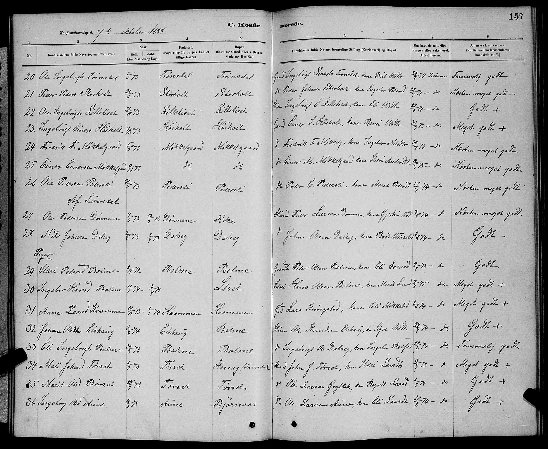 Ministerialprotokoller, klokkerbøker og fødselsregistre - Møre og Romsdal, AV/SAT-A-1454/598/L1077: Parish register (copy) no. 598C02, 1879-1891, p. 157