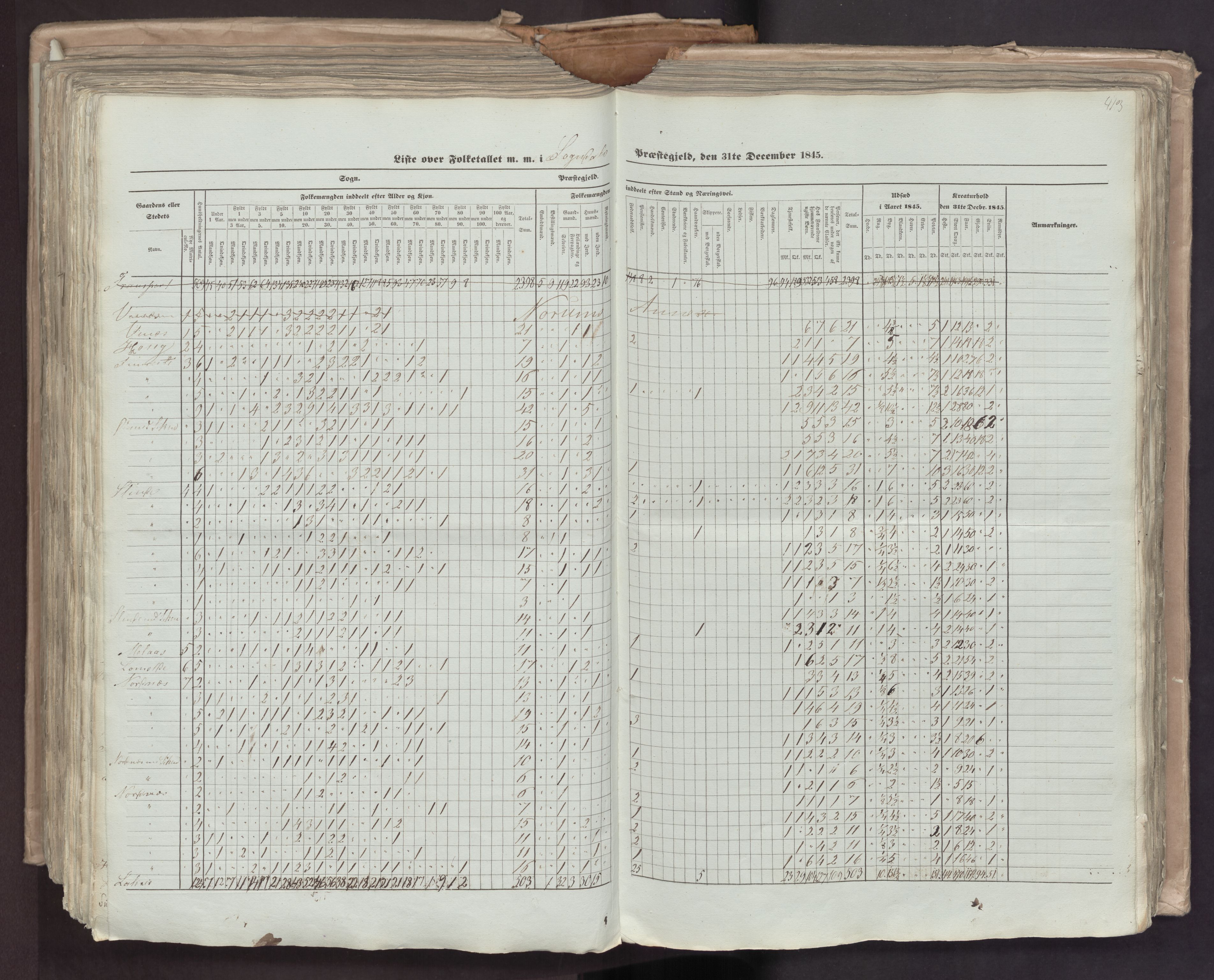 RA, Census 1845, vol. 7: Søndre Bergenhus amt og Nordre Bergenhus amt, 1845, p. 413