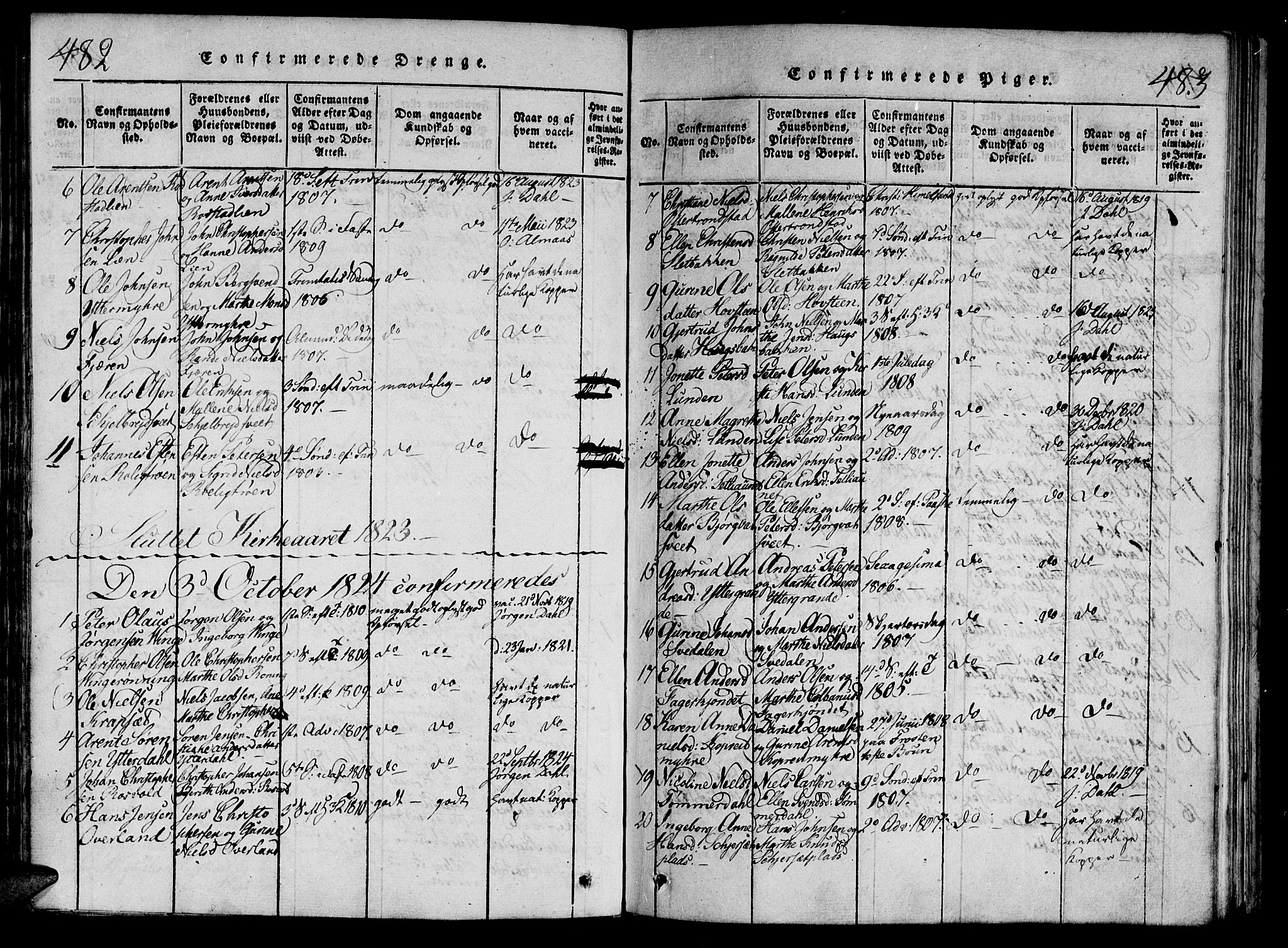 Ministerialprotokoller, klokkerbøker og fødselsregistre - Nord-Trøndelag, AV/SAT-A-1458/701/L0005: Parish register (official) no. 701A05 /1, 1816-1825, p. 482-483