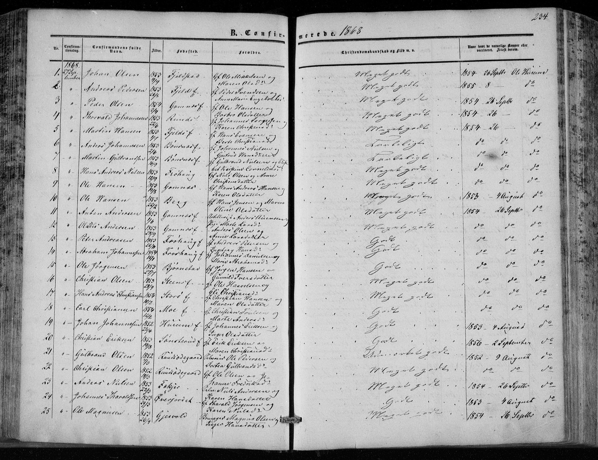 Hole kirkebøker, SAKO/A-228/F/Fa/L0006: Parish register (official) no. I 6, 1852-1872, p. 234