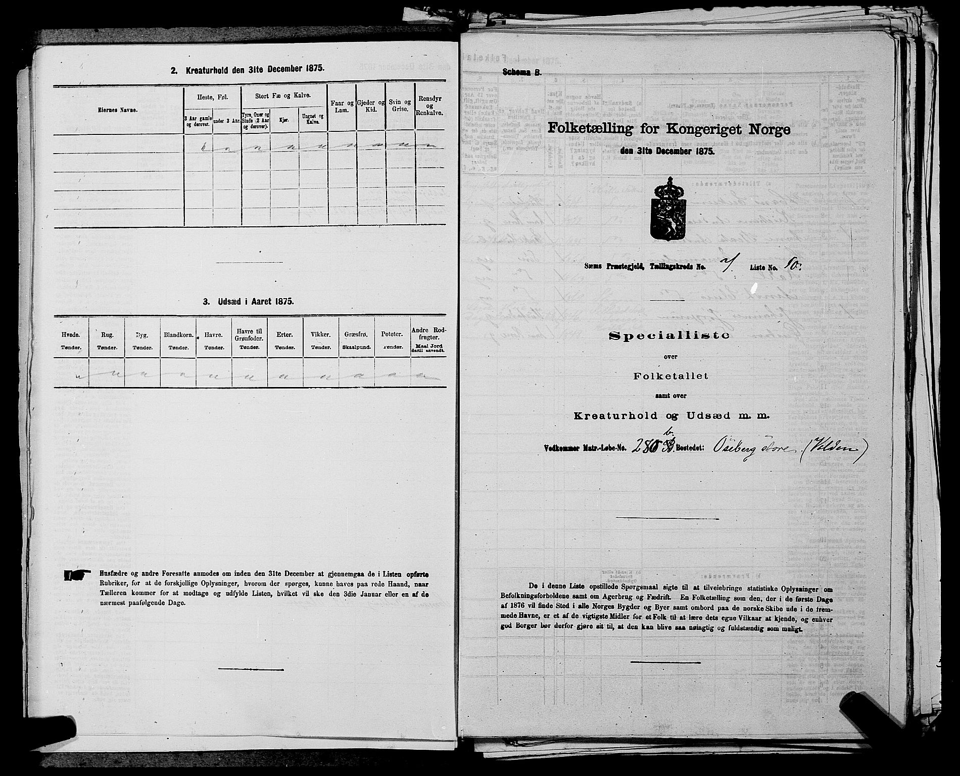 SAKO, 1875 census for 0721P Sem, 1875, p. 1151