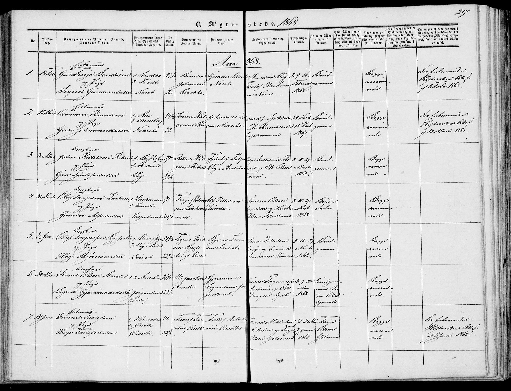 Fyresdal kirkebøker, SAKO/A-263/F/Fa/L0005: Parish register (official) no. I 5, 1855-1871, p. 217