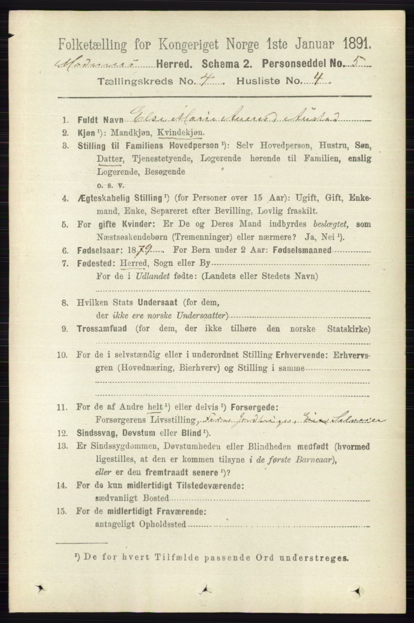 RA, 1891 census for 0623 Modum, 1891, p. 1010