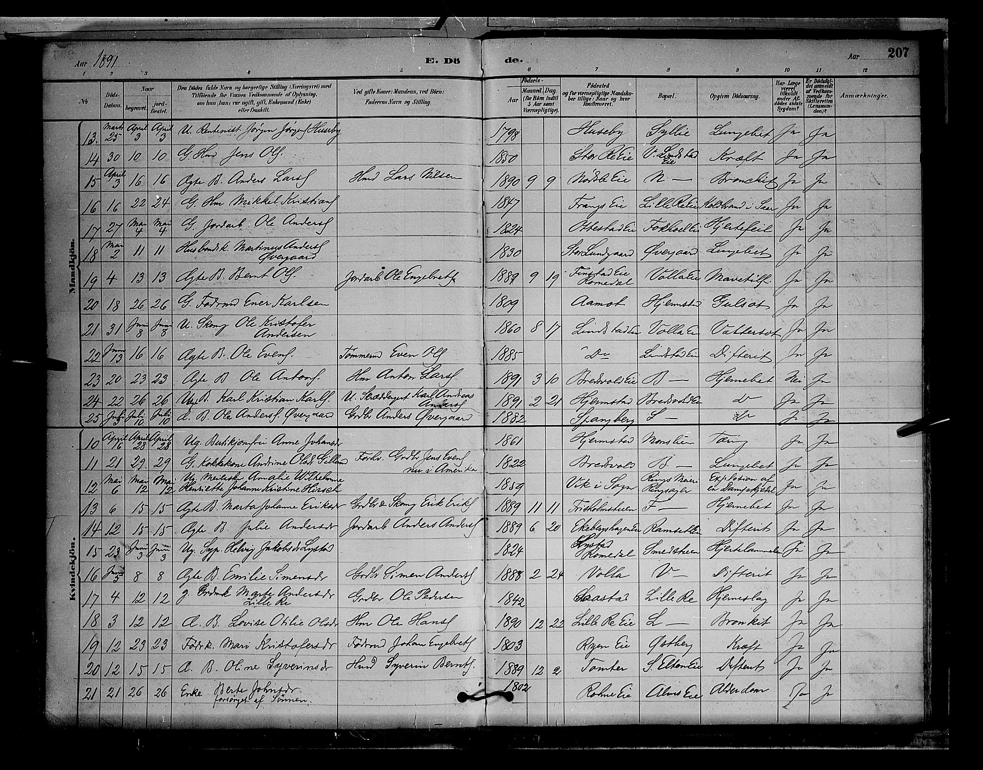 Stange prestekontor, SAH/PREST-002/L/L0009: Parish register (copy) no. 9, 1883-1899, p. 207