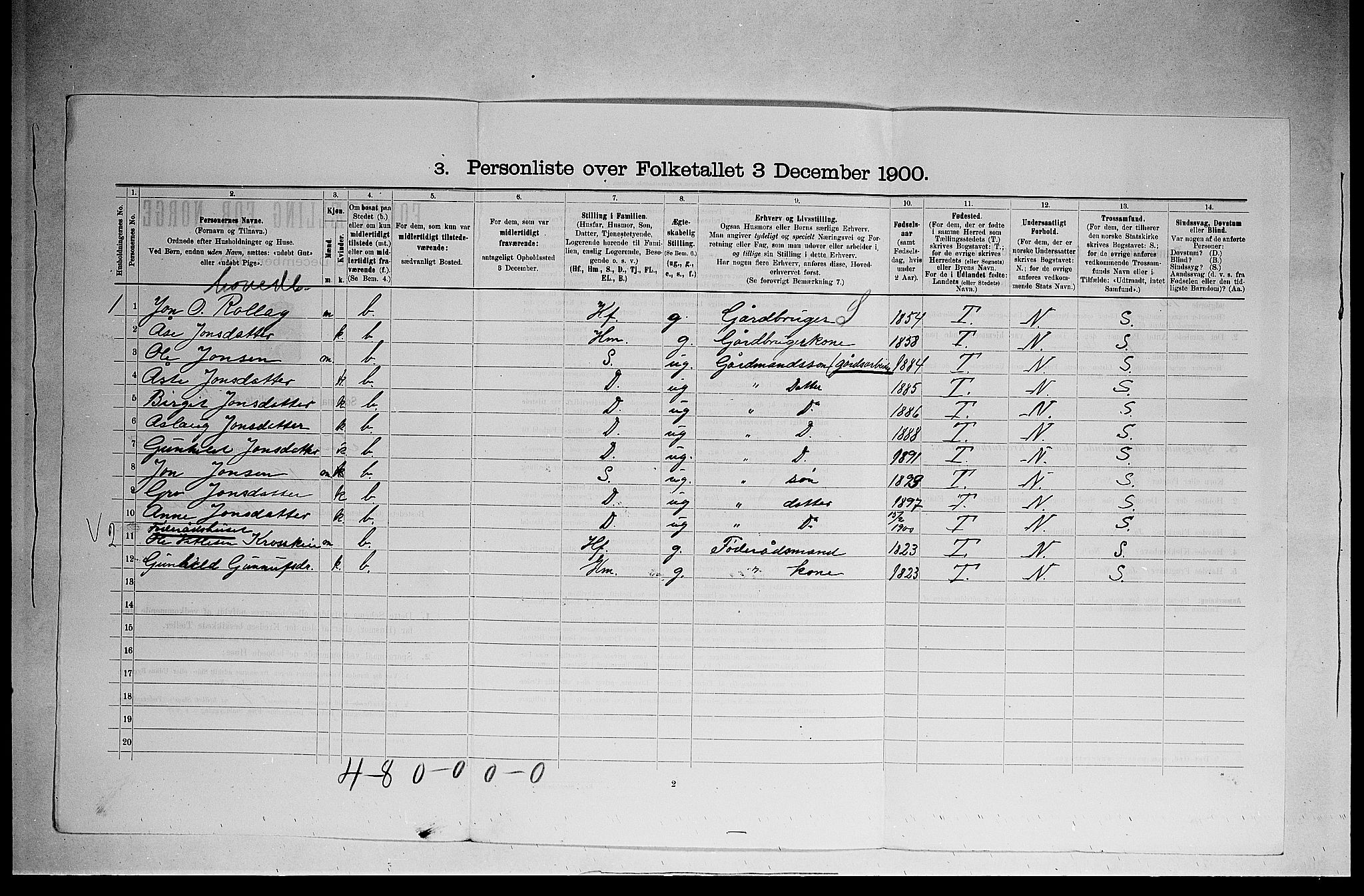 SAKO, 1900 census for Tinn, 1900, p. 666