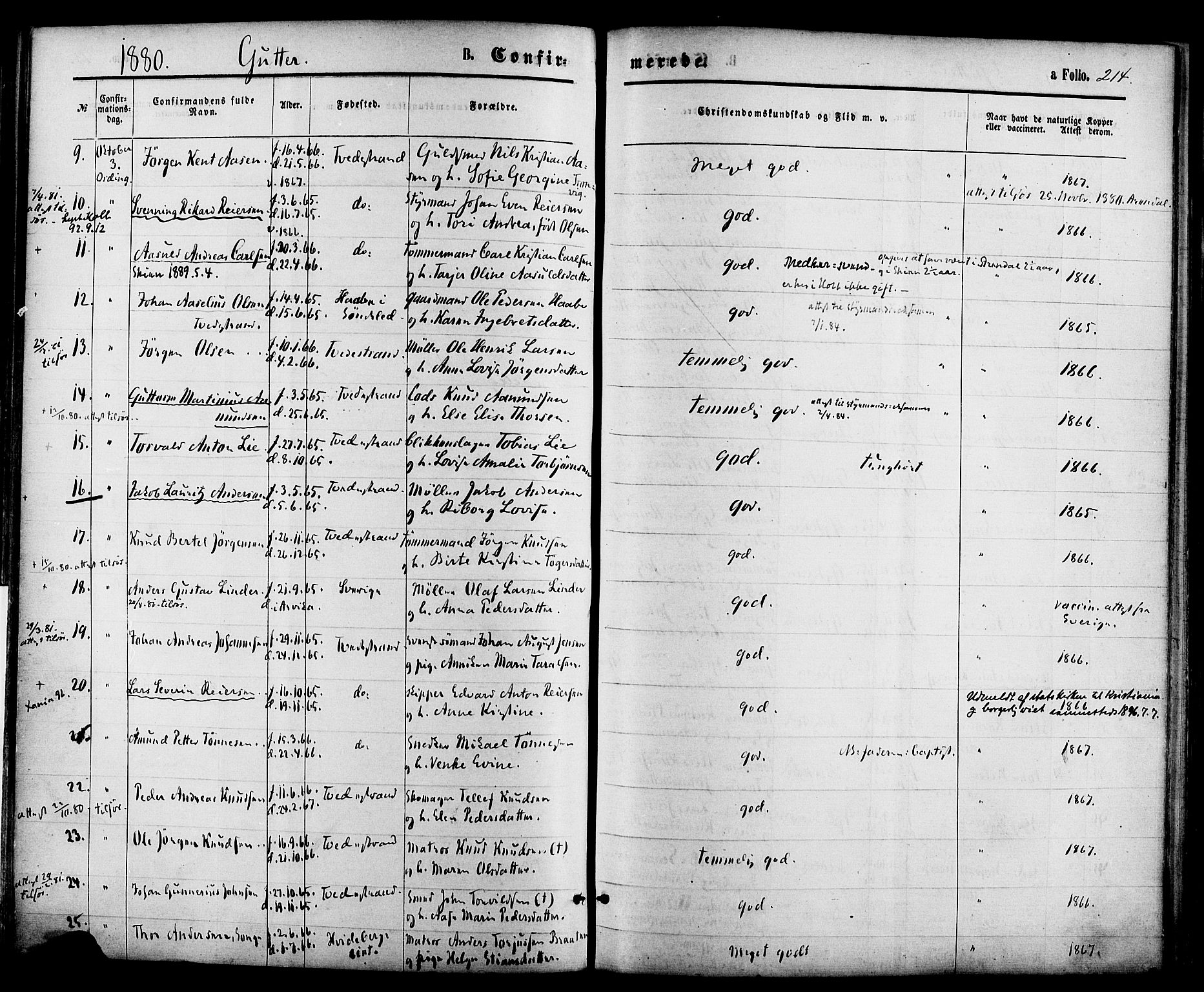 Holt sokneprestkontor, SAK/1111-0021/F/Fa/L0010: Parish register (official) no. A 10, 1872-1885, p. 214