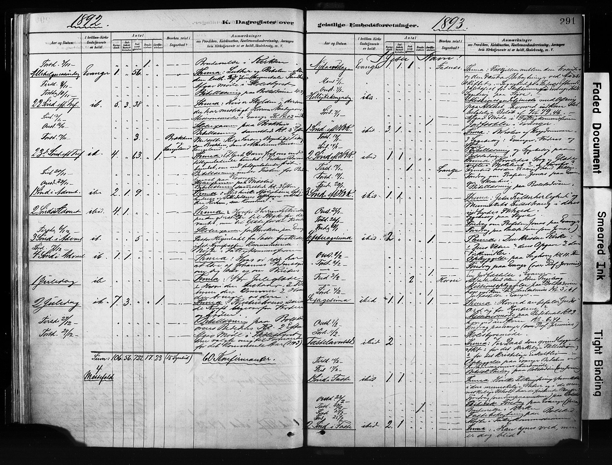 Evanger sokneprestembete, SAB/A-99924: Parish register (official) no. A 1, 1877-1899, p. 291