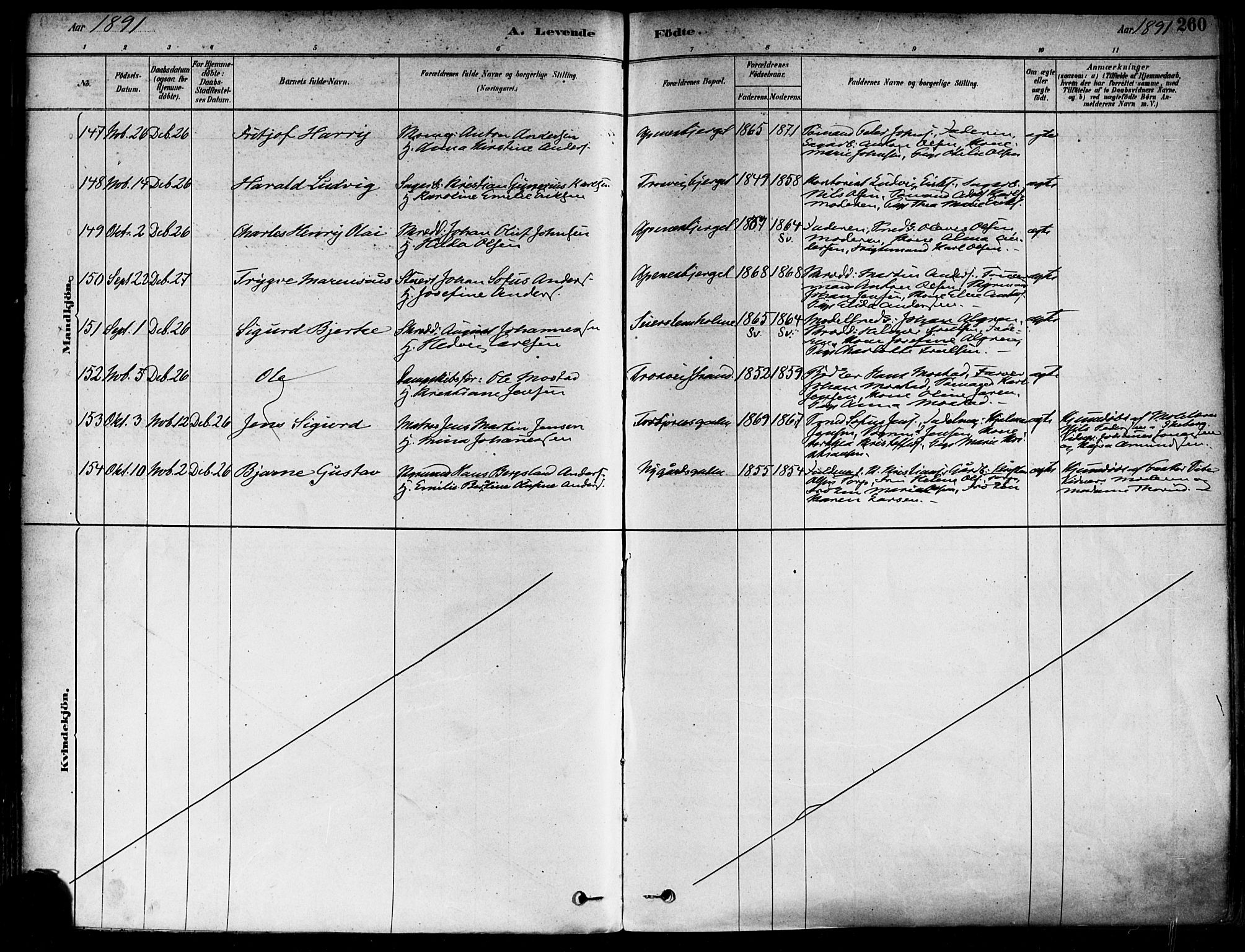 Fredrikstad domkirkes prestekontor Kirkebøker, AV/SAO-A-10906/F/Fa/L0002: Parish register (official) no. 2, 1878-1894, p. 260