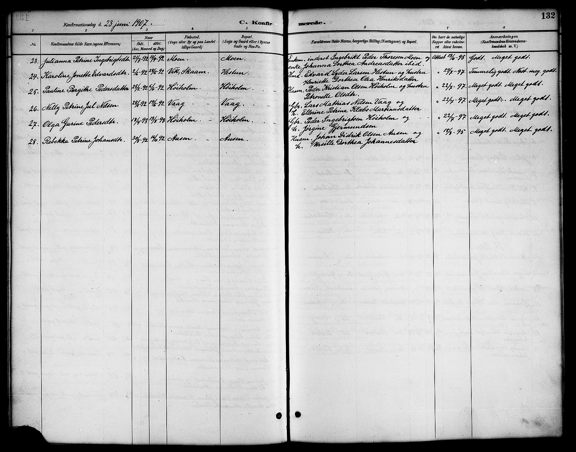 Ministerialprotokoller, klokkerbøker og fødselsregistre - Nordland, AV/SAT-A-1459/819/L0277: Parish register (copy) no. 819C03, 1888-1917, p. 132