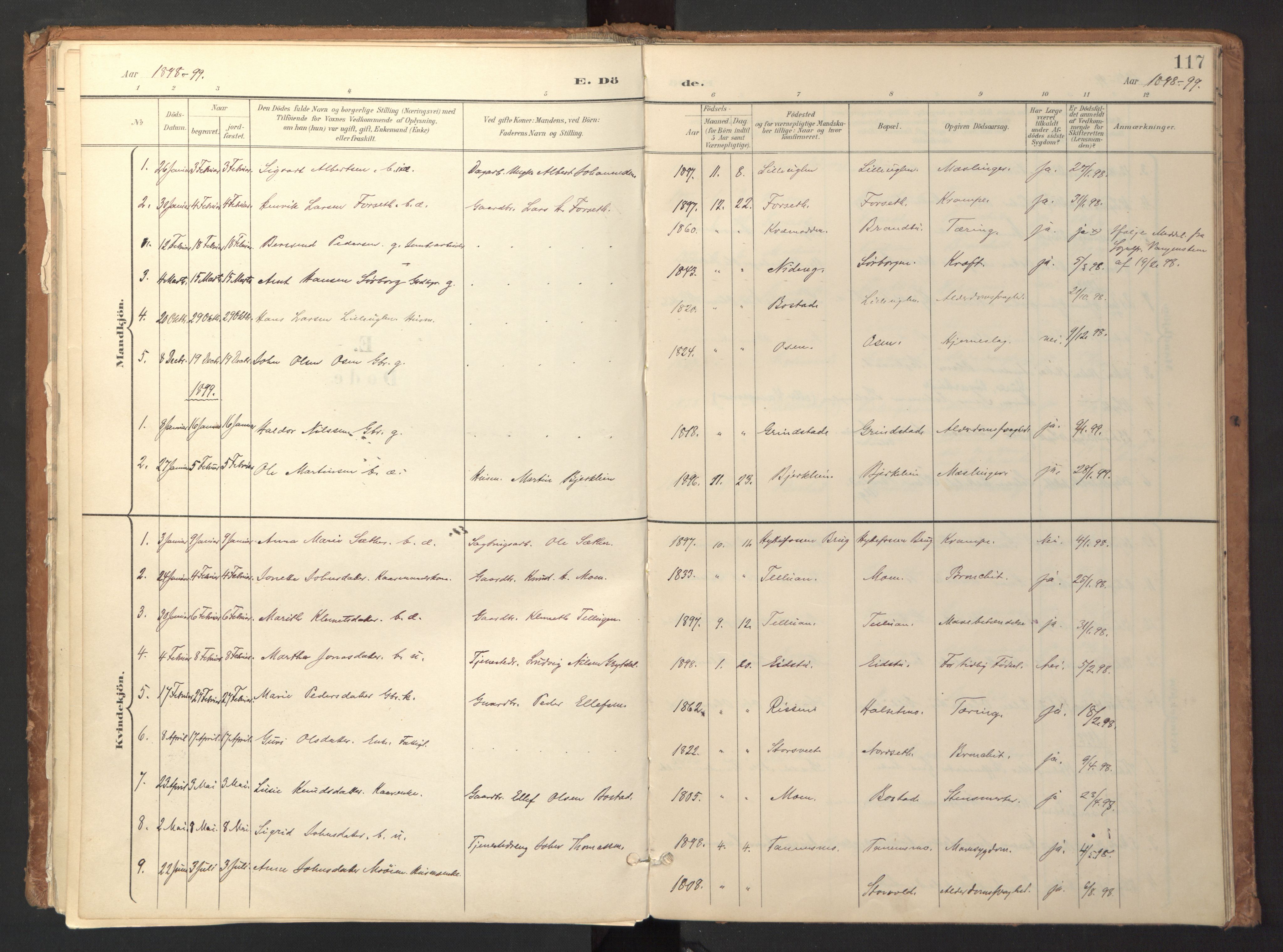 Ministerialprotokoller, klokkerbøker og fødselsregistre - Sør-Trøndelag, SAT/A-1456/618/L0448: Parish register (official) no. 618A11, 1898-1916, p. 117