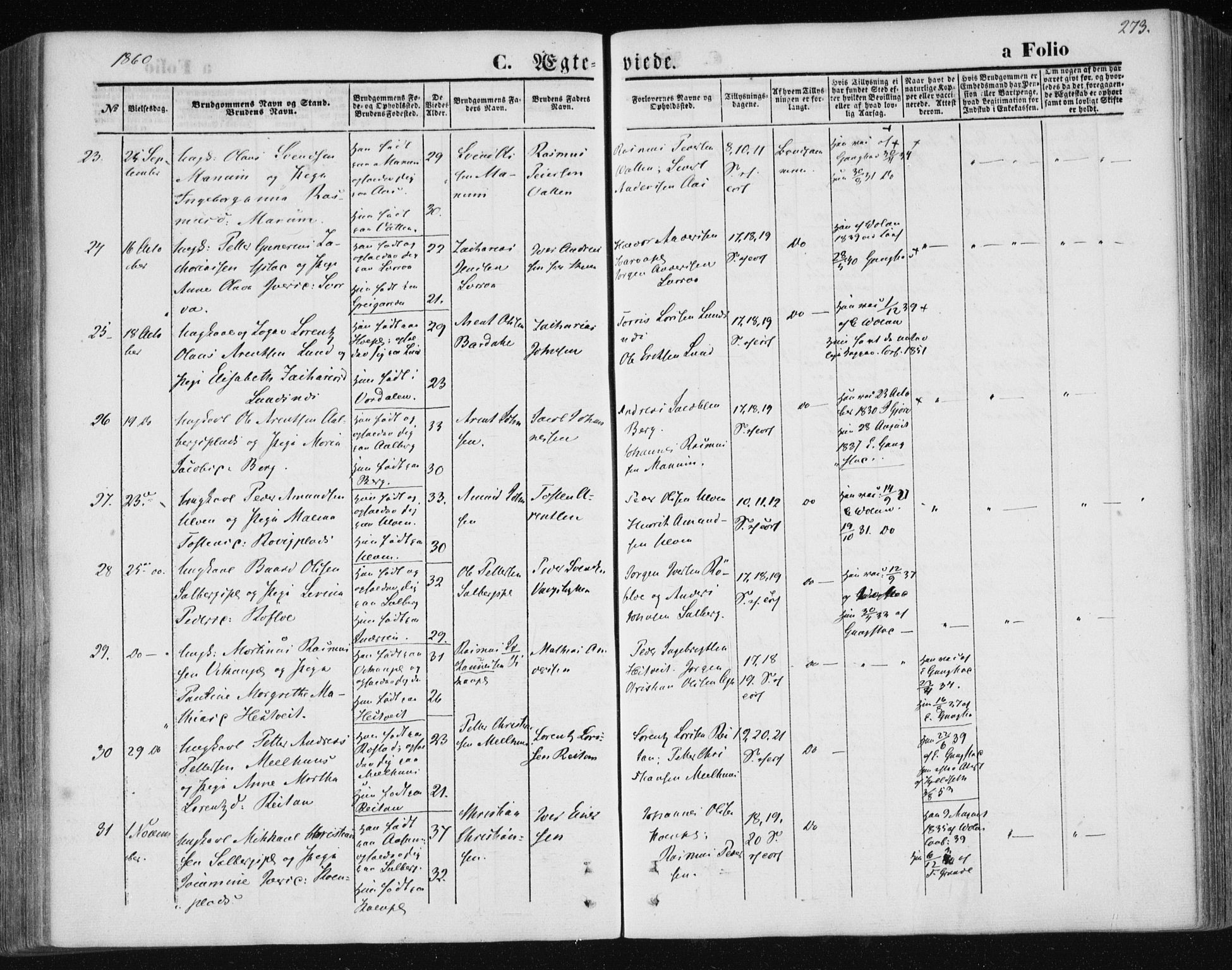 Ministerialprotokoller, klokkerbøker og fødselsregistre - Nord-Trøndelag, SAT/A-1458/730/L0283: Parish register (official) no. 730A08, 1855-1865, p. 273