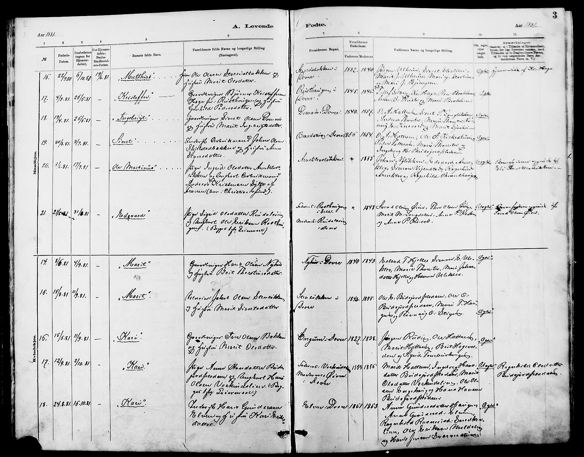 Dovre prestekontor, AV/SAH-PREST-066/H/Ha/Hab/L0002: Parish register (copy) no. 2, 1881-1907, p. 3