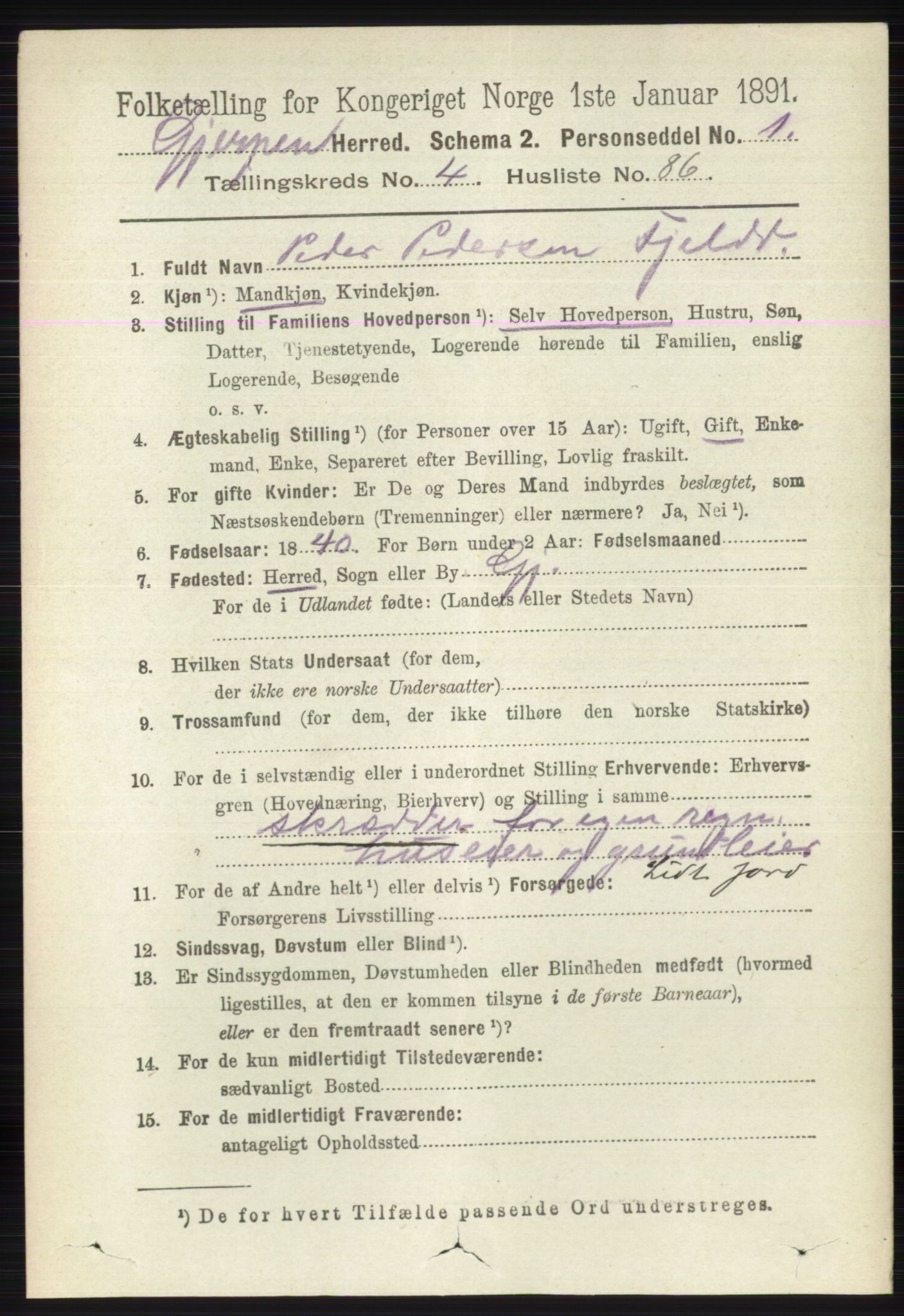 RA, 1891 census for 0812 Gjerpen, 1891, p. 2418