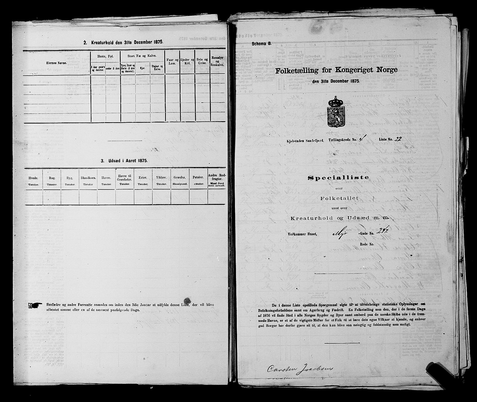 SAKO, 1875 census for 0706B Sandeherred/Sandefjord, 1875, p. 555