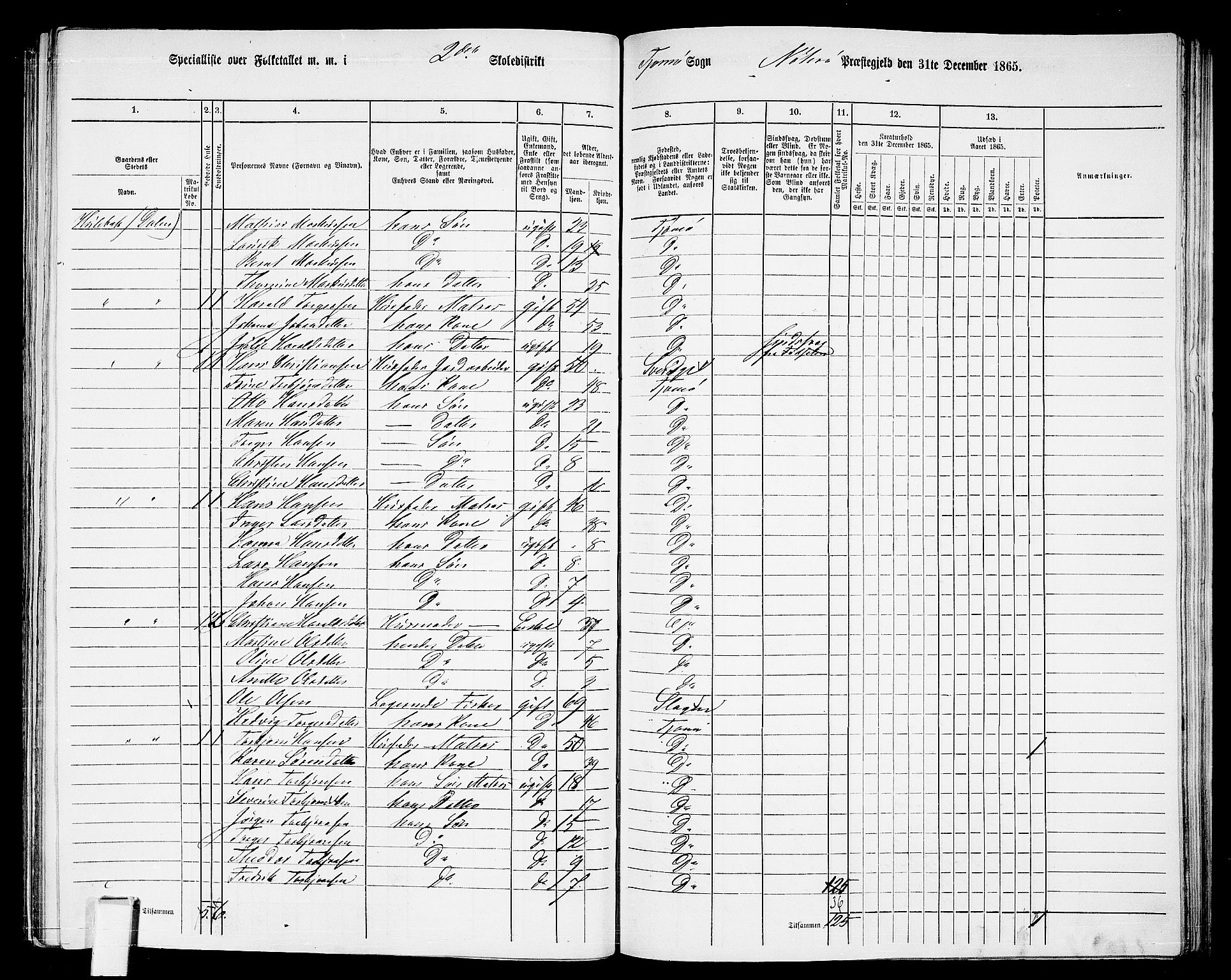 RA, 1865 census for Nøtterøy, 1865, p. 251