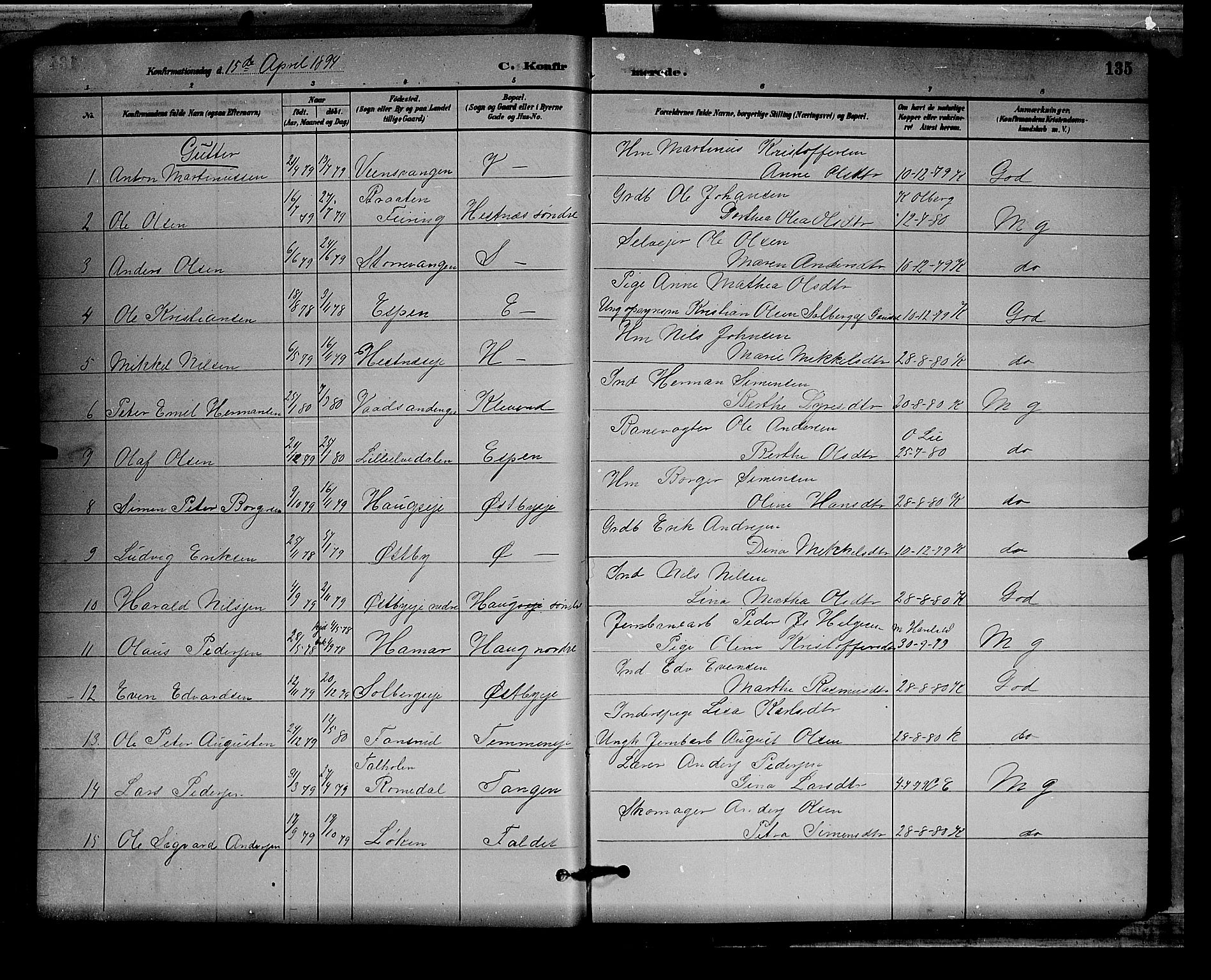 Stange prestekontor, SAH/PREST-002/L/L0008: Parish register (copy) no. 8, 1882-1895, p. 135