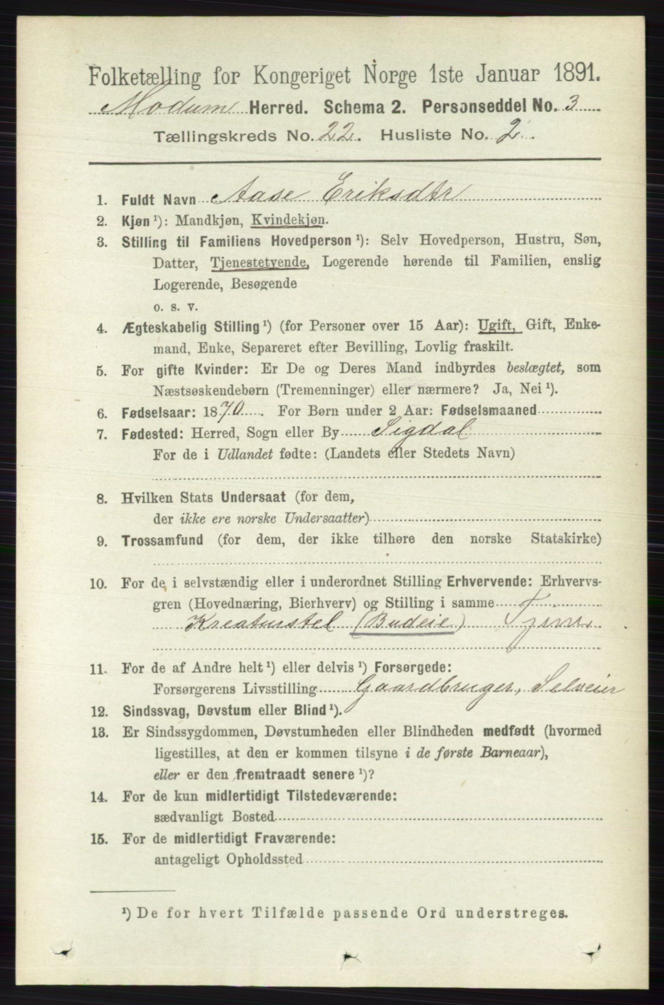 RA, 1891 census for 0623 Modum, 1891, p. 8404