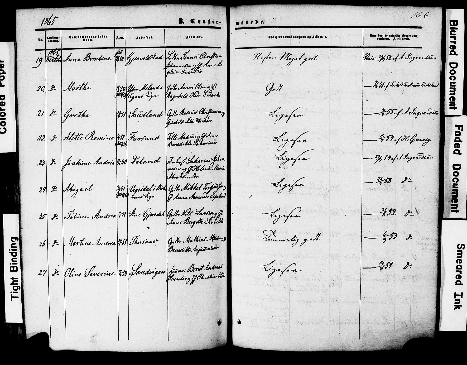 Herad sokneprestkontor, AV/SAK-1111-0018/F/Fa/Faa/L0005: Parish register (official) no. A 5, 1853-1886, p. 166