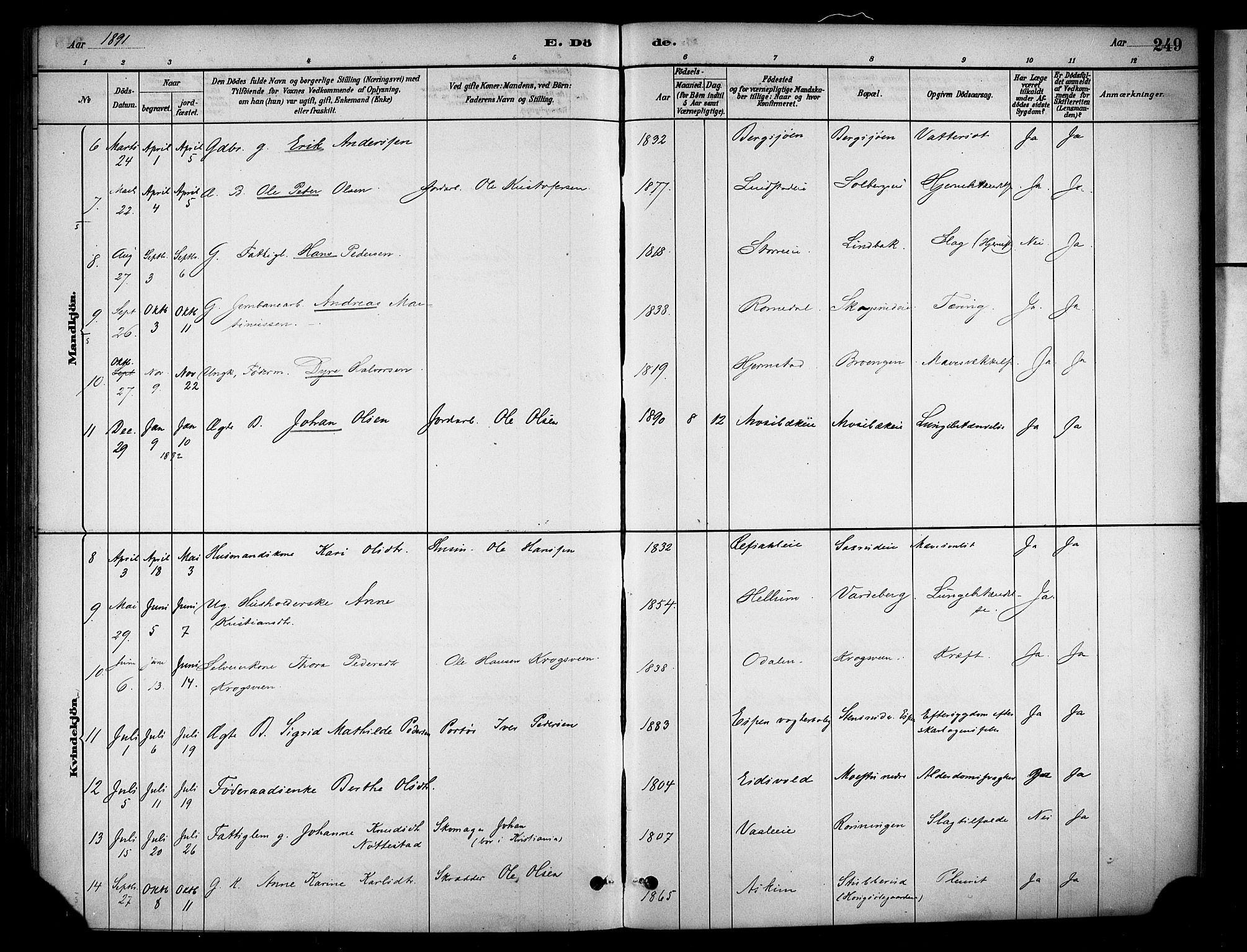 Stange prestekontor, AV/SAH-PREST-002/K/L0018: Parish register (official) no. 18, 1880-1896, p. 249