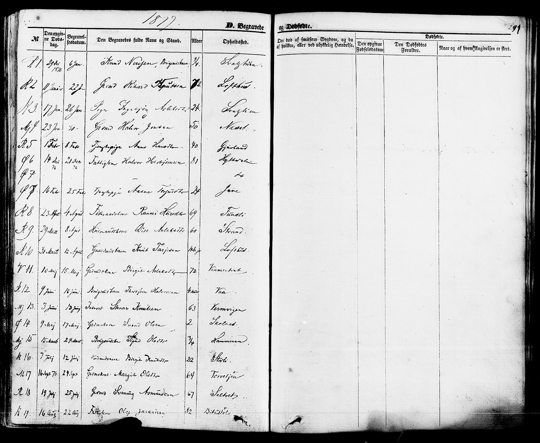 Rauland kirkebøker, SAKO/A-292/F/Fa/L0003: Parish register (official) no. 3, 1859-1886, p. 291