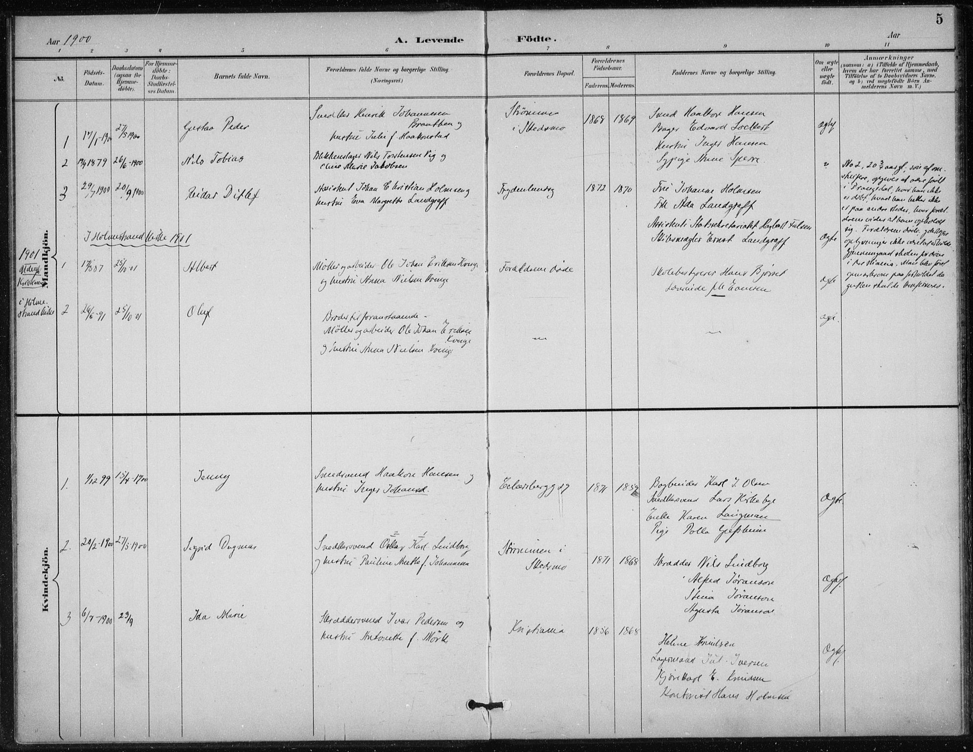 Døves menighet Oslo prestekontor kirkebøker, AV/SAO-A-11064/F/L0001: Parish register (official) no. 1, 1895-1919, p. 5