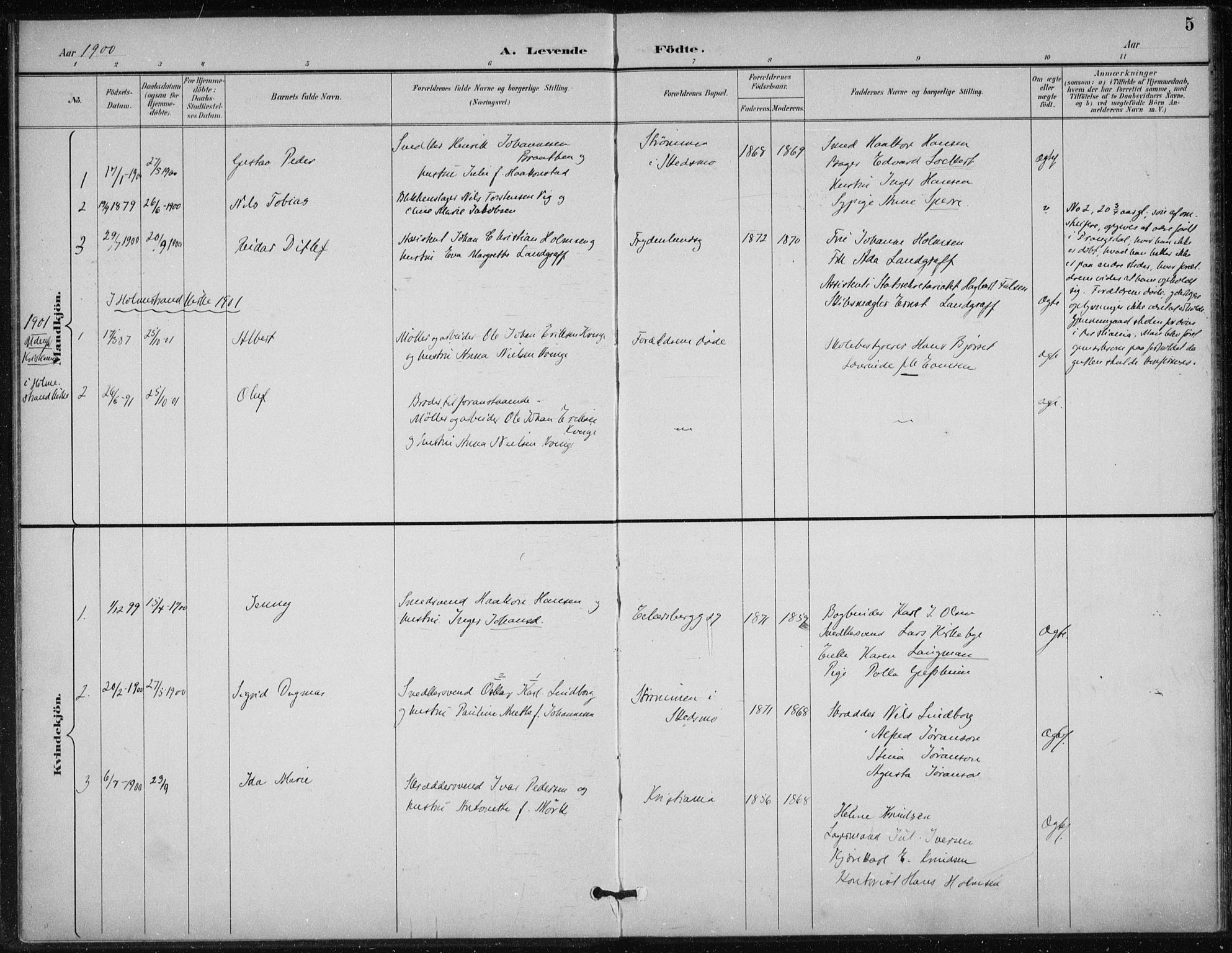 Døves menighet Oslo prestekontor kirkebøker, AV/SAO-A-11064/F/L0001: Parish register (official) no. 1, 1895-1919, p. 5