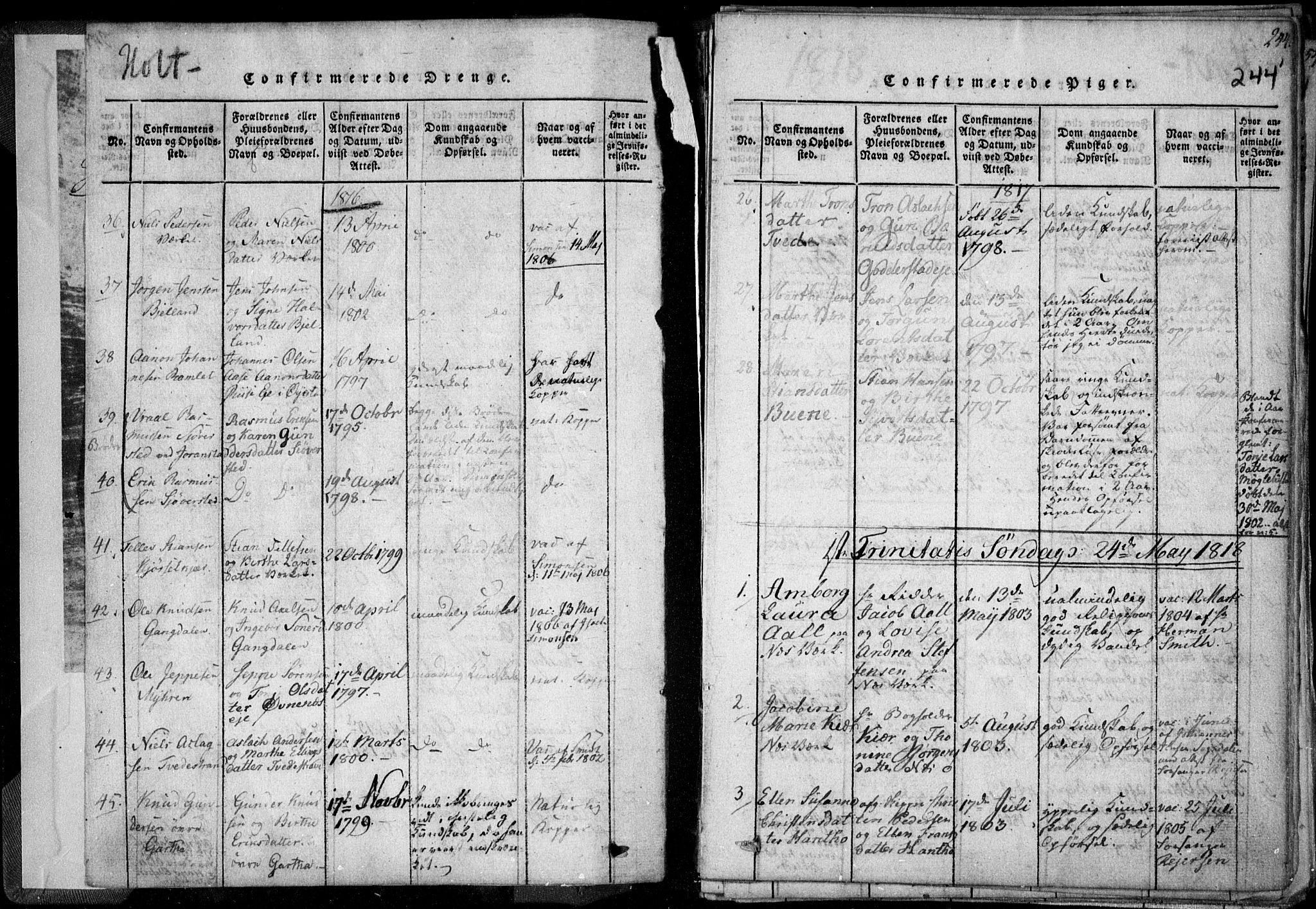 Holt sokneprestkontor, SAK/1111-0021/F/Fa/L0005: Parish register (official) no. A 5, 1813-1821, p. 244