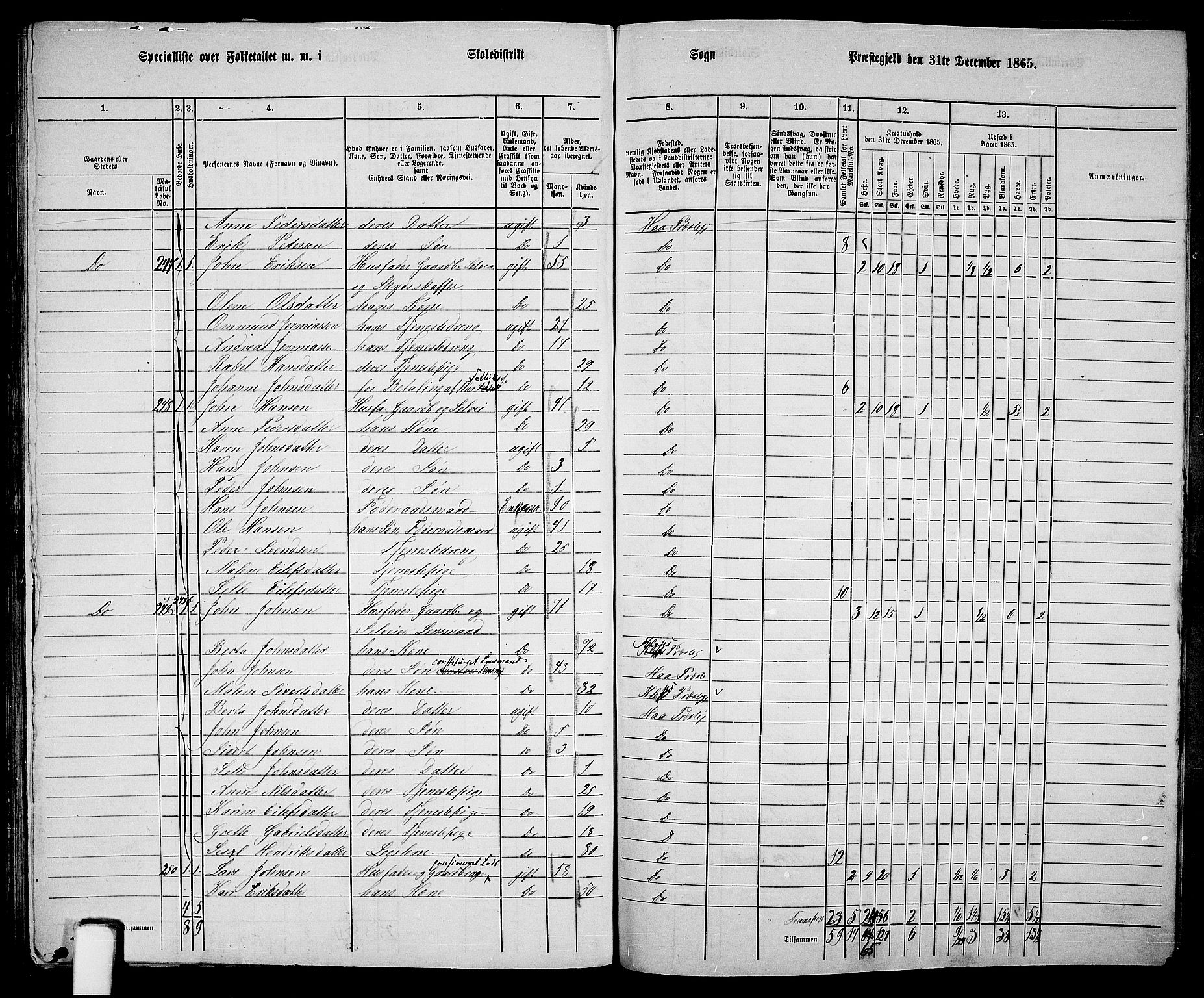 RA, 1865 census for Hå, 1865, p. 107