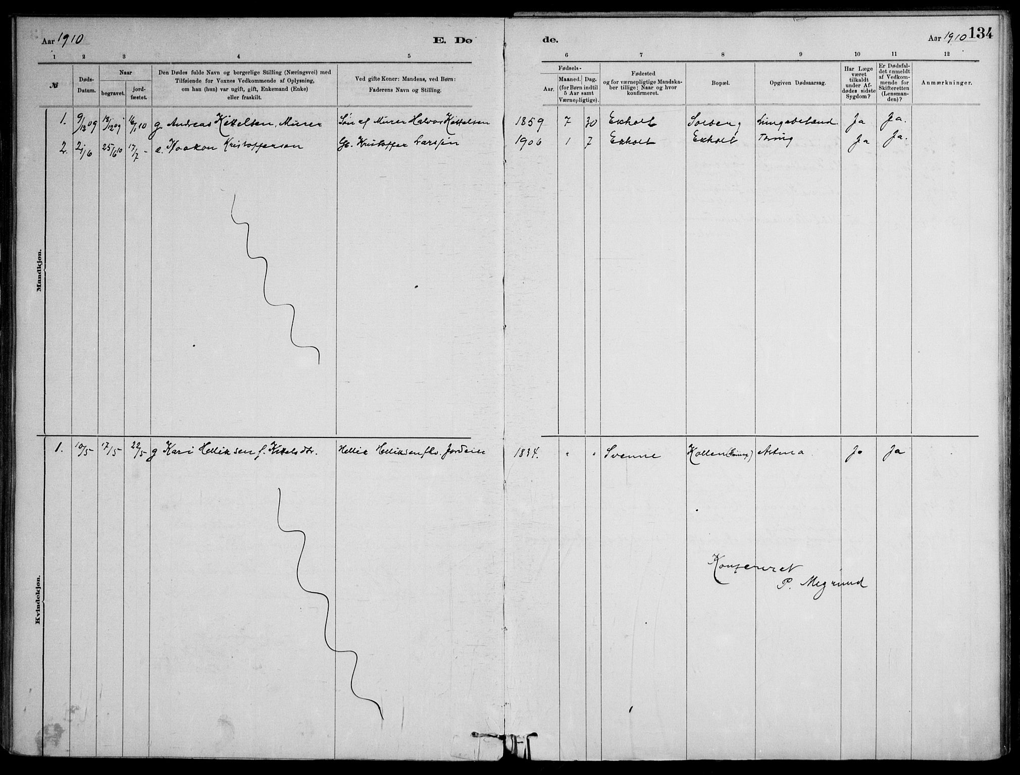 Skoger kirkebøker, AV/SAKO-A-59/F/Fb/L0001: Parish register (official) no. II 1, 1885-1913, p. 134