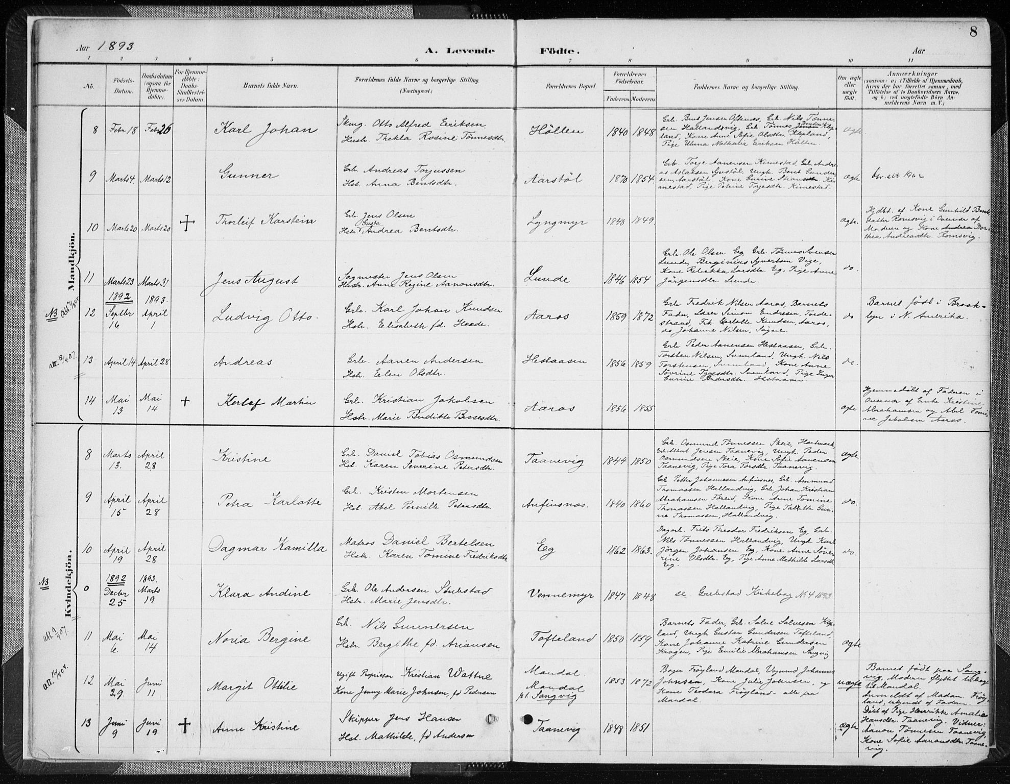 Søgne sokneprestkontor, SAK/1111-0037/F/Fa/Fab/L0013: Parish register (official) no. A 13, 1892-1911, p. 8