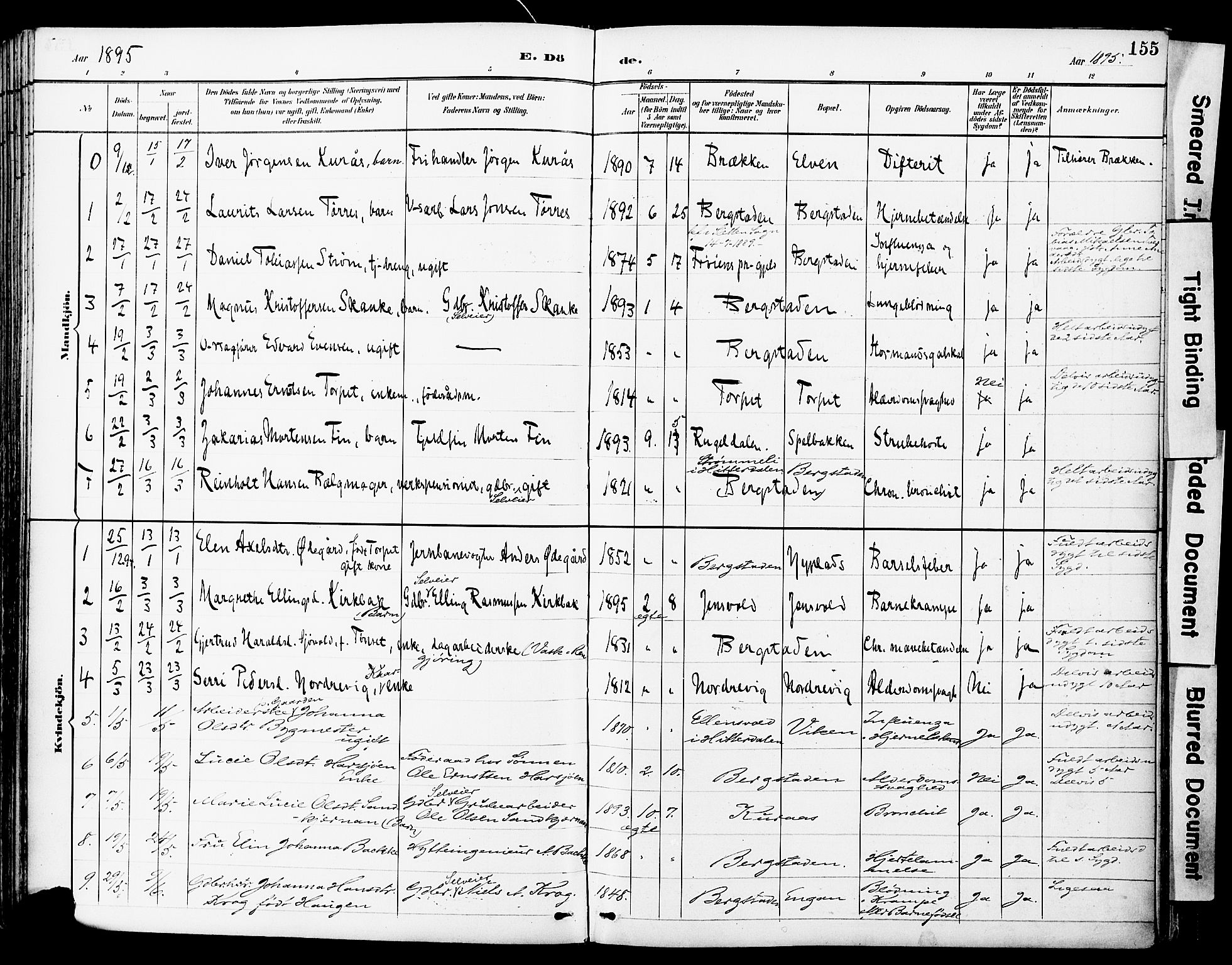 Ministerialprotokoller, klokkerbøker og fødselsregistre - Sør-Trøndelag, SAT/A-1456/681/L0935: Parish register (official) no. 681A13, 1890-1898, p. 155