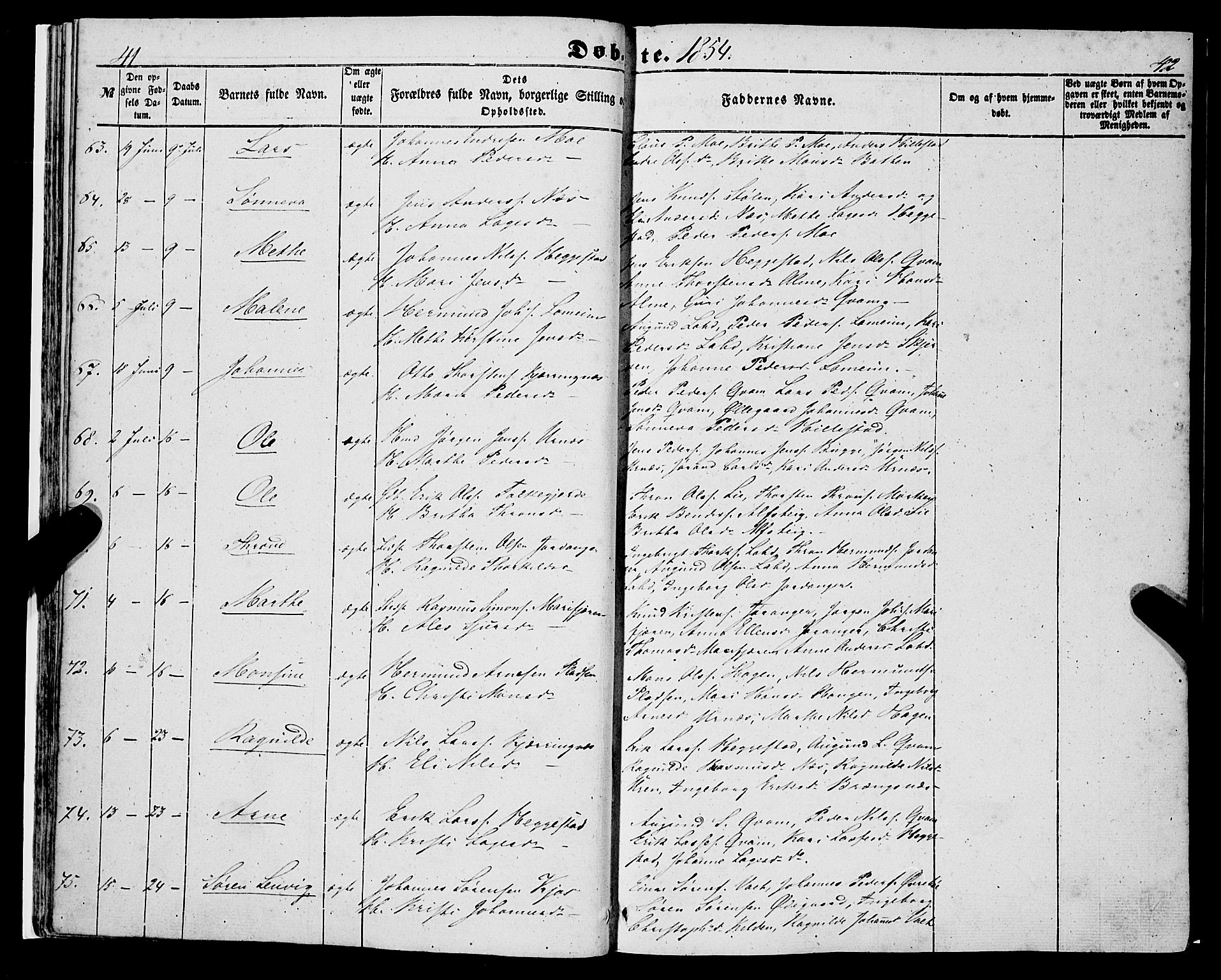 Hafslo sokneprestembete, SAB/A-80301/H/Haa/Haaa/L0009: Parish register (official) no. A 9, 1852-1873, p. 41-42