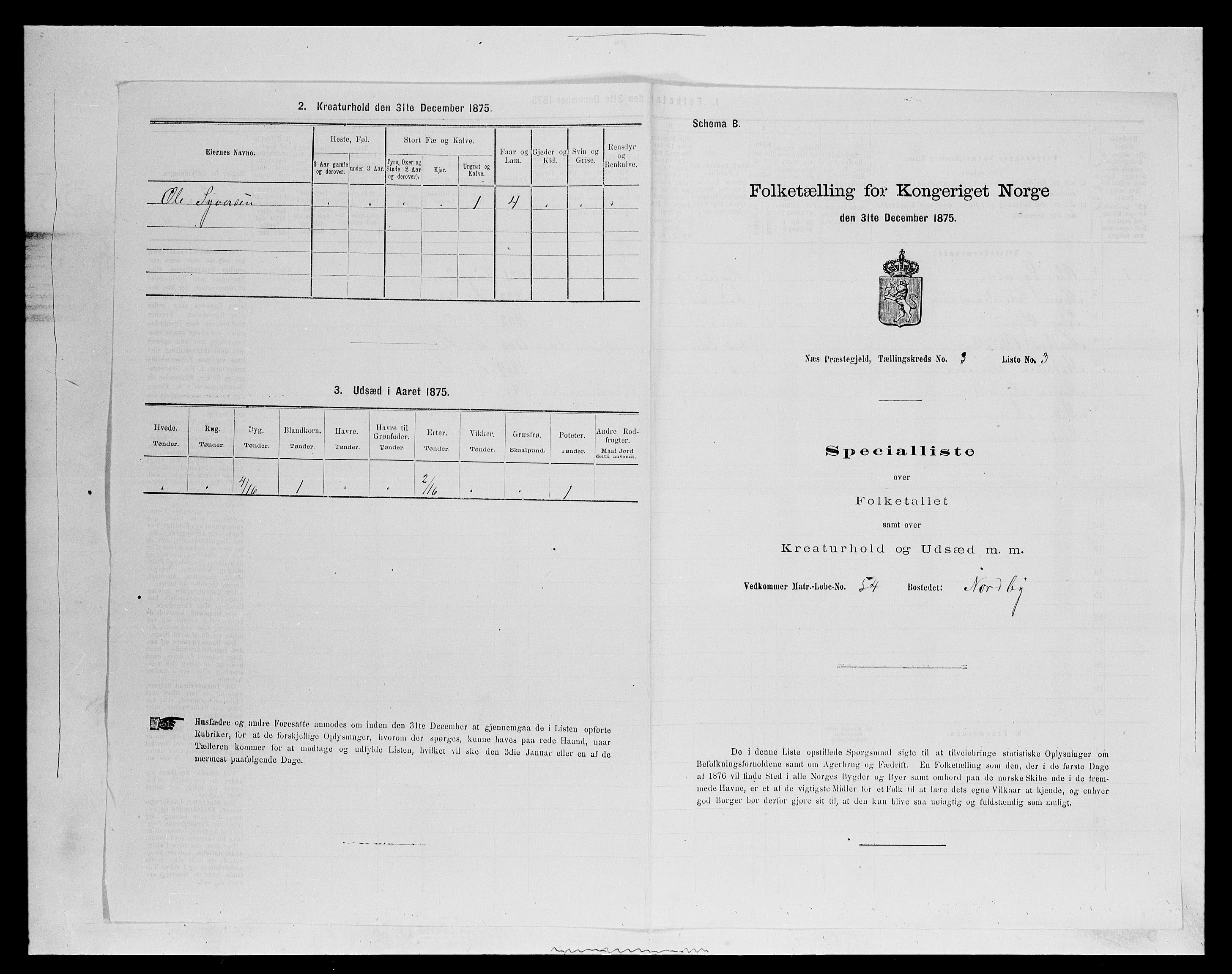 SAH, 1875 census for 0411P Nes, 1875, p. 441