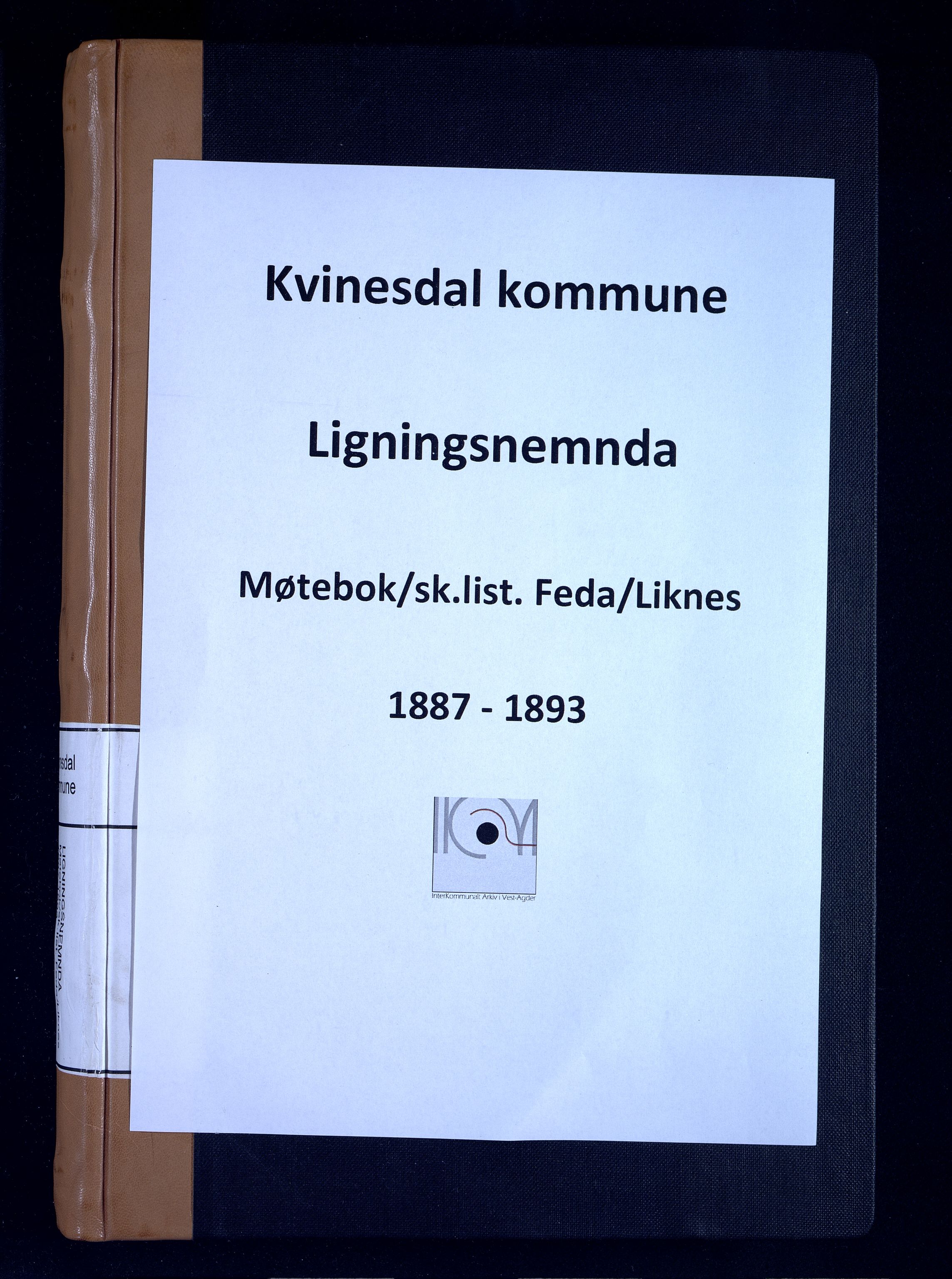 Kvinesdal kommune - Likningsnemnda, ARKSOR/1037KG310/A/L0002: Møtebok og skattelister Feda og Liknes, 1887-1893