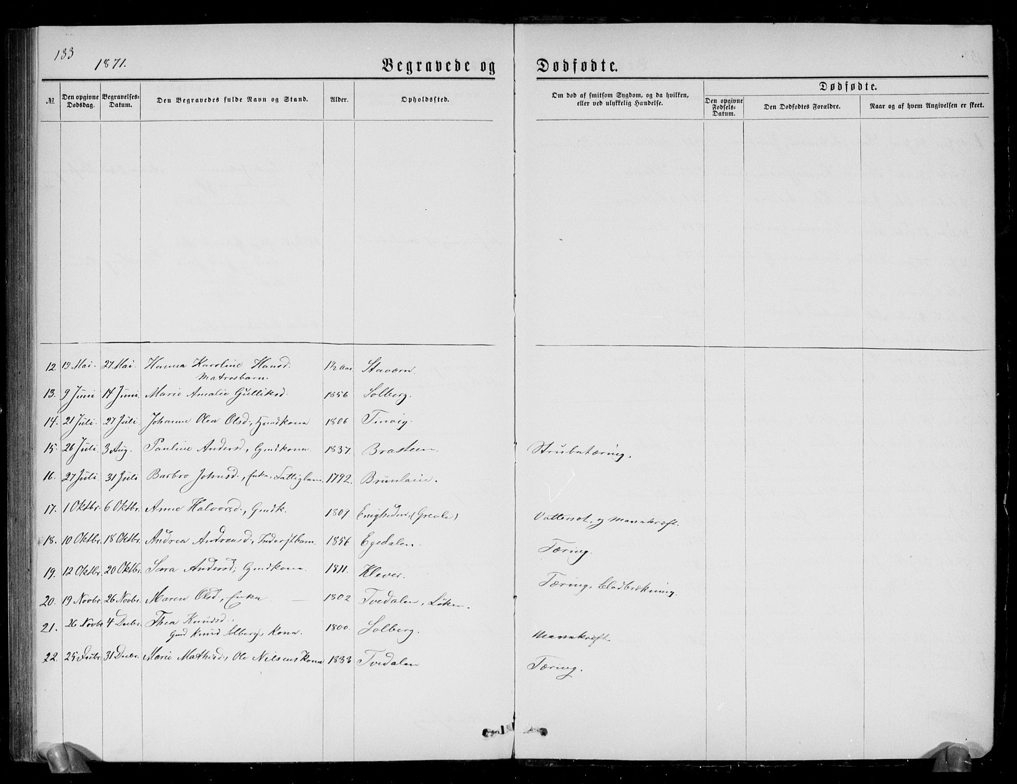 Brunlanes kirkebøker, SAKO/A-342/G/Ga/L0002: Parish register (copy) no. I 2, 1866-1876, p. 133