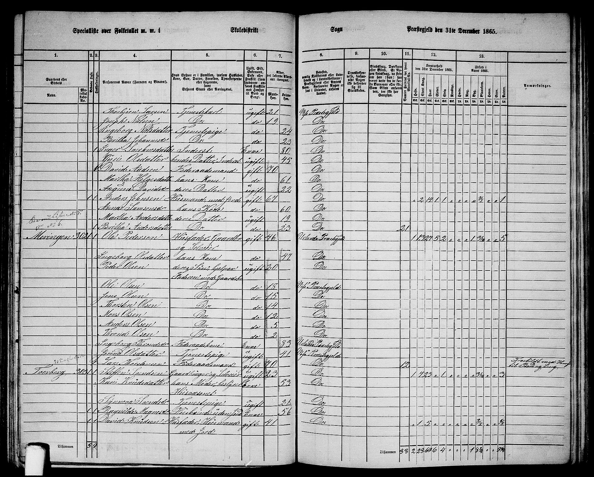 RA, 1865 census for Voss, 1865, p. 123