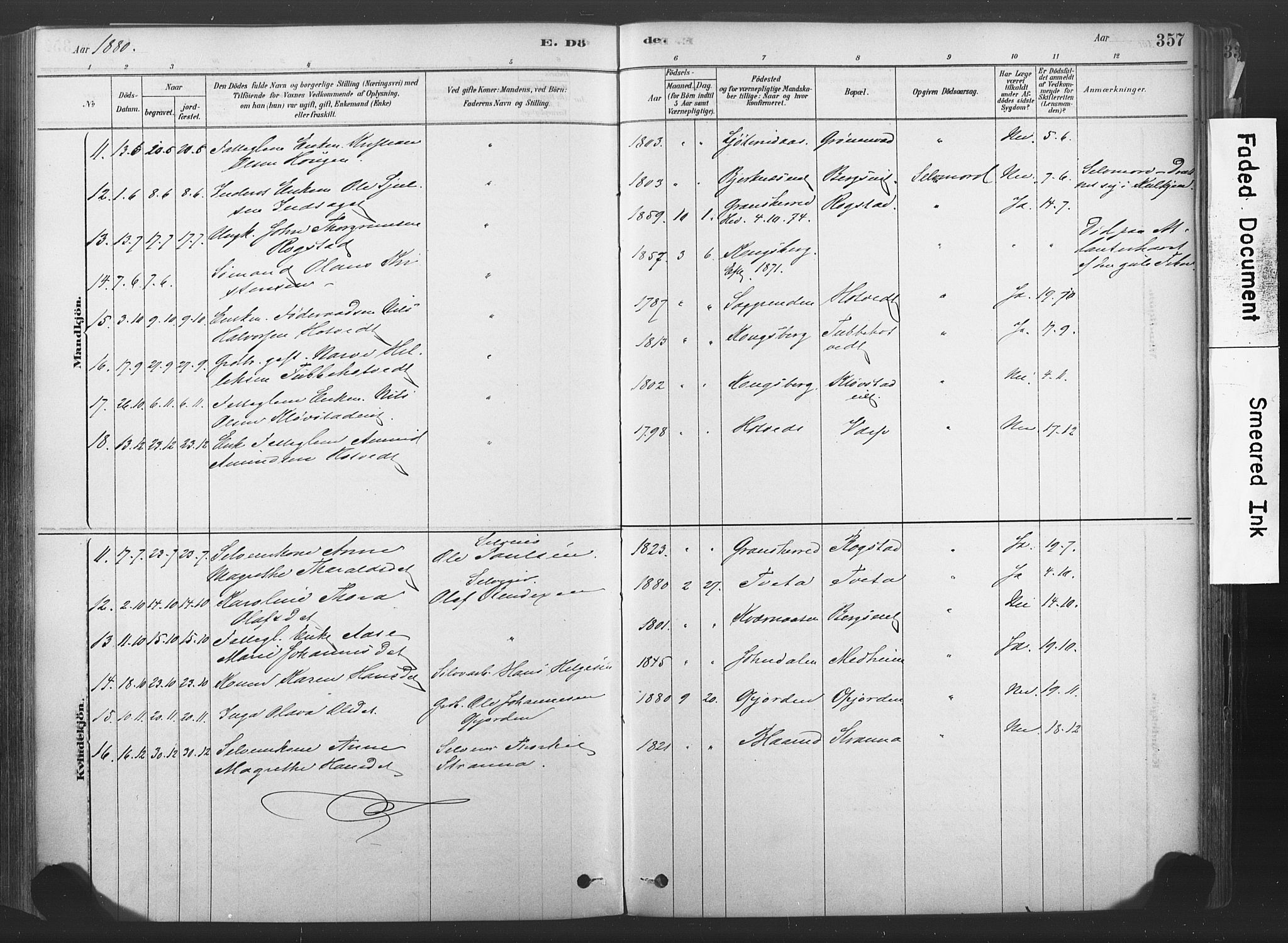 Sandsvær kirkebøker, AV/SAKO-A-244/F/Fd/L0001: Parish register (official) no. IV 1, 1878-1906, p. 357