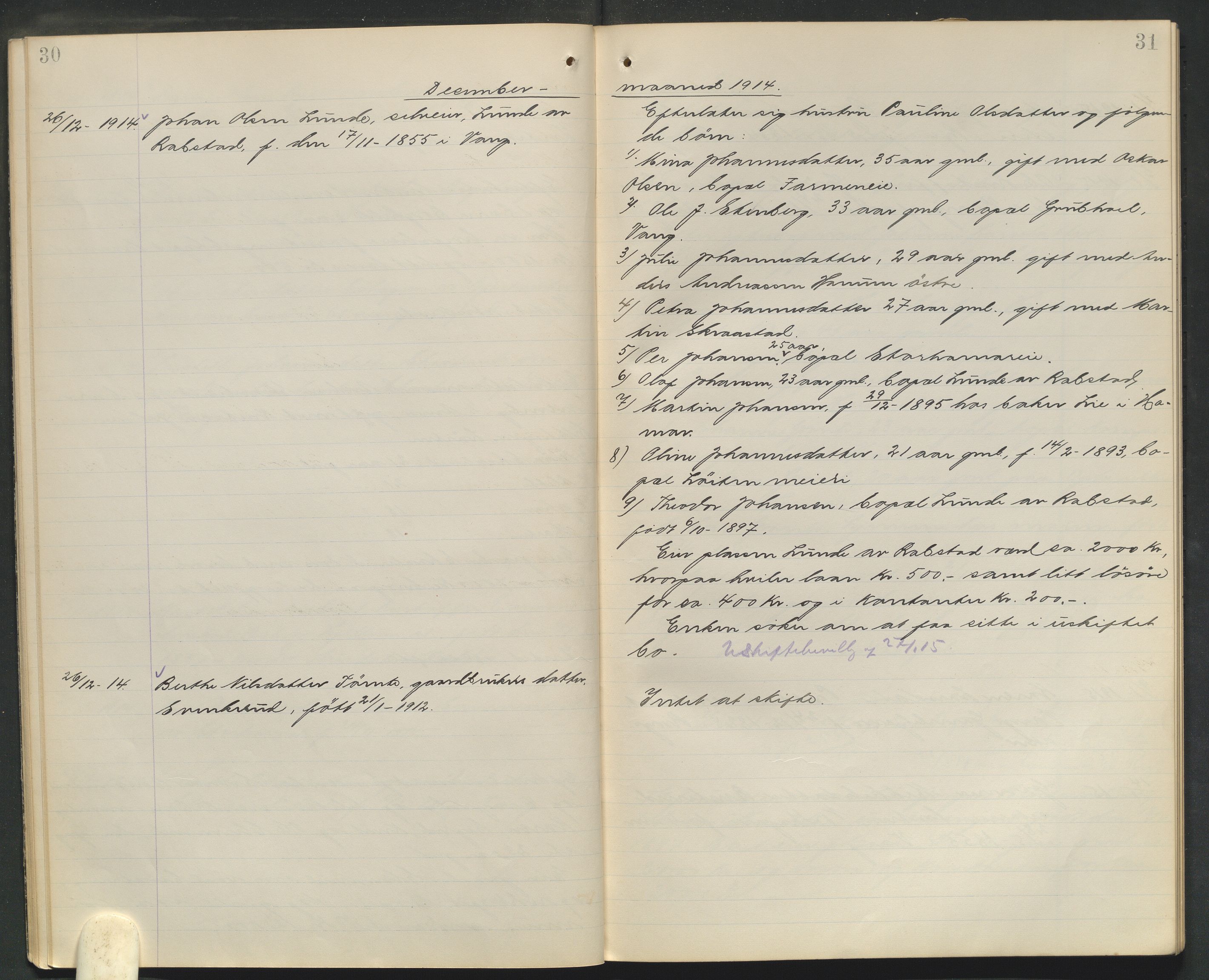 Nord-Hedmark sorenskriveri, AV/SAH-TING-012/J/Ji/L0010: Dødsfallsprotokoll - Vang, 1913-1916, p. 30-31
