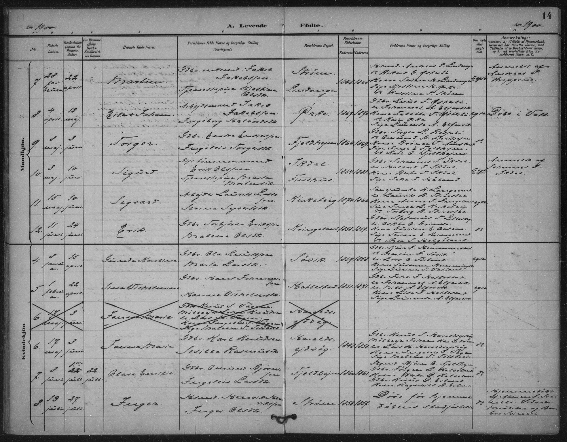 Skjold sokneprestkontor, AV/SAST-A-101847/H/Ha/Haa/L0011: Parish register (official) no. A 11, 1897-1914, p. 14