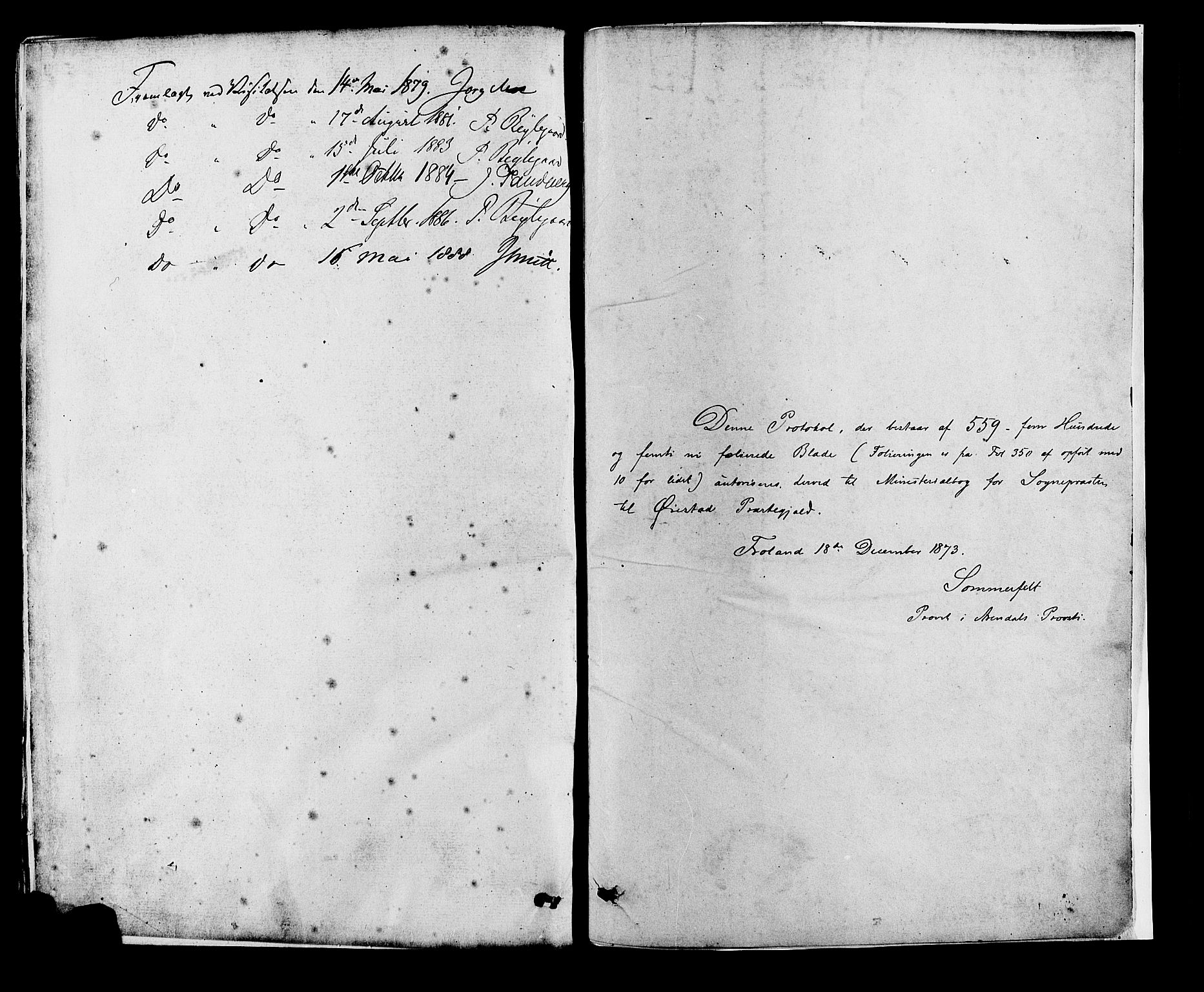 Øyestad sokneprestkontor, AV/SAK-1111-0049/F/Fa/L0016: Parish register (official) no. A 16, 1874-1886