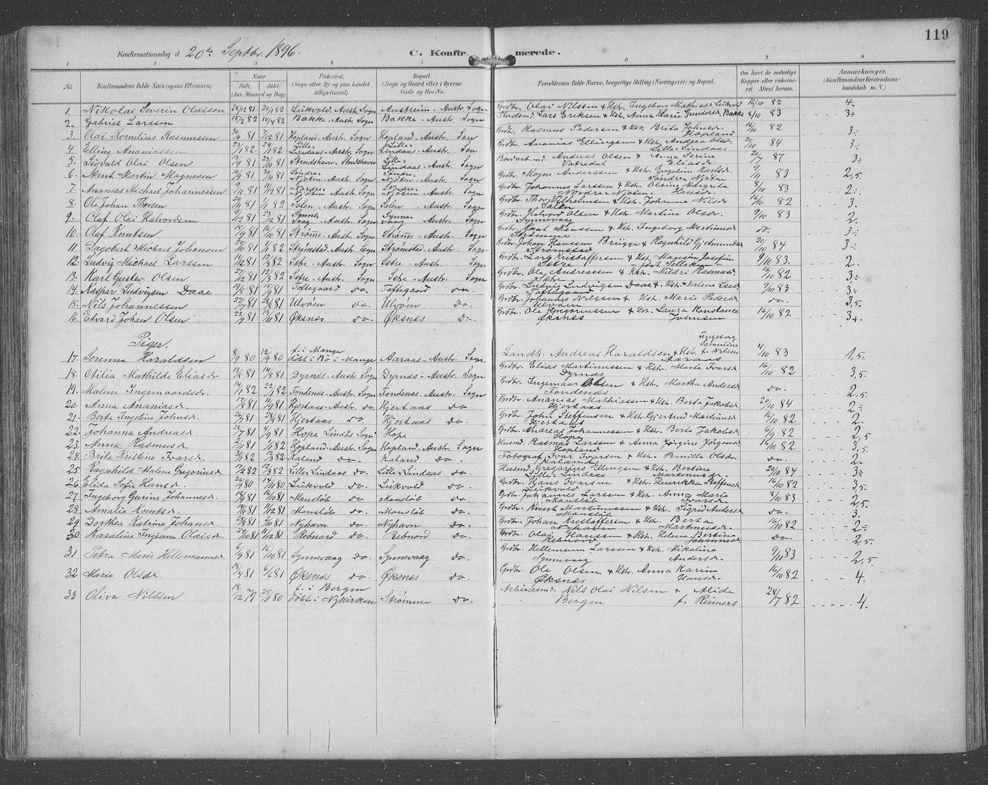 Lindås Sokneprestembete, SAB/A-76701/H/Hab: Parish register (copy) no. C 4, 1894-1910, p. 119