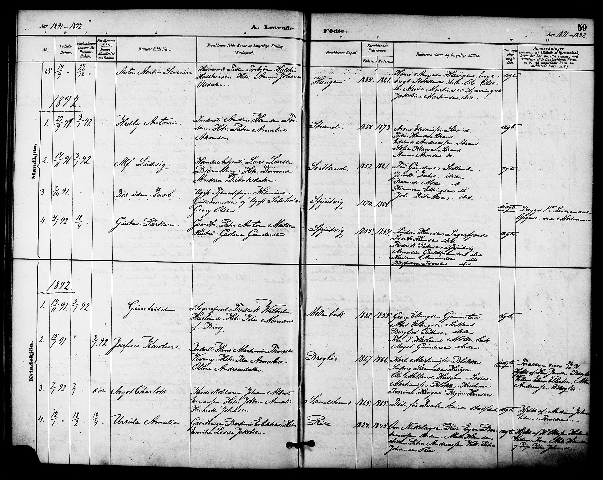 Ministerialprotokoller, klokkerbøker og fødselsregistre - Nordland, AV/SAT-A-1459/895/L1371: Parish register (official) no. 895A06, 1885-1894, p. 59