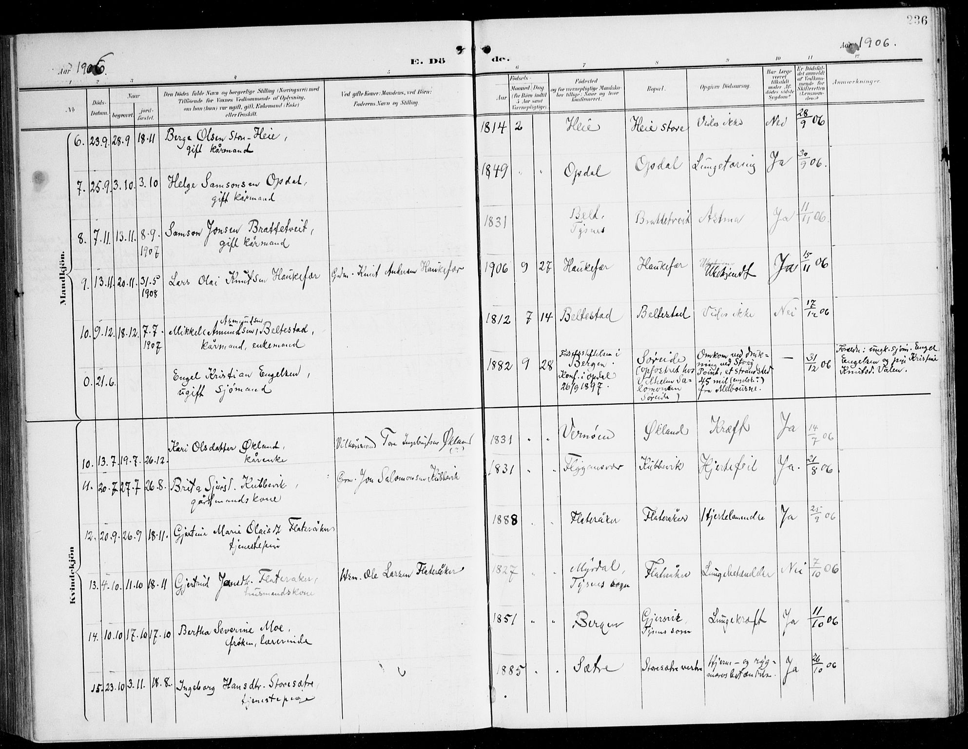 Tysnes sokneprestembete, AV/SAB-A-78601/H/Haa: Parish register (official) no. D 2, 1905-1922, p. 236