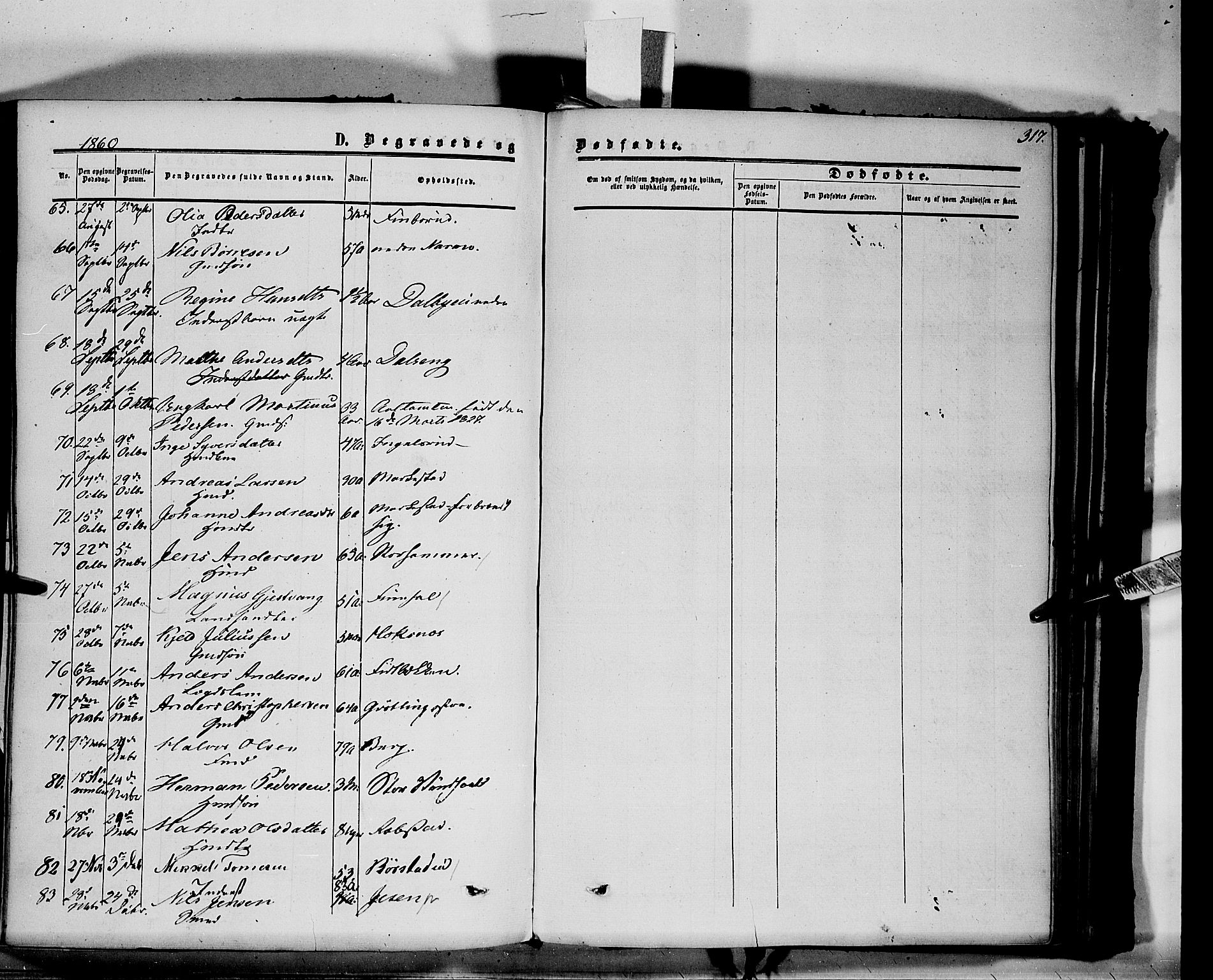 Vang prestekontor, Hedmark, SAH/PREST-008/H/Ha/Haa/L0012: Parish register (official) no. 12, 1855-1870, p. 317