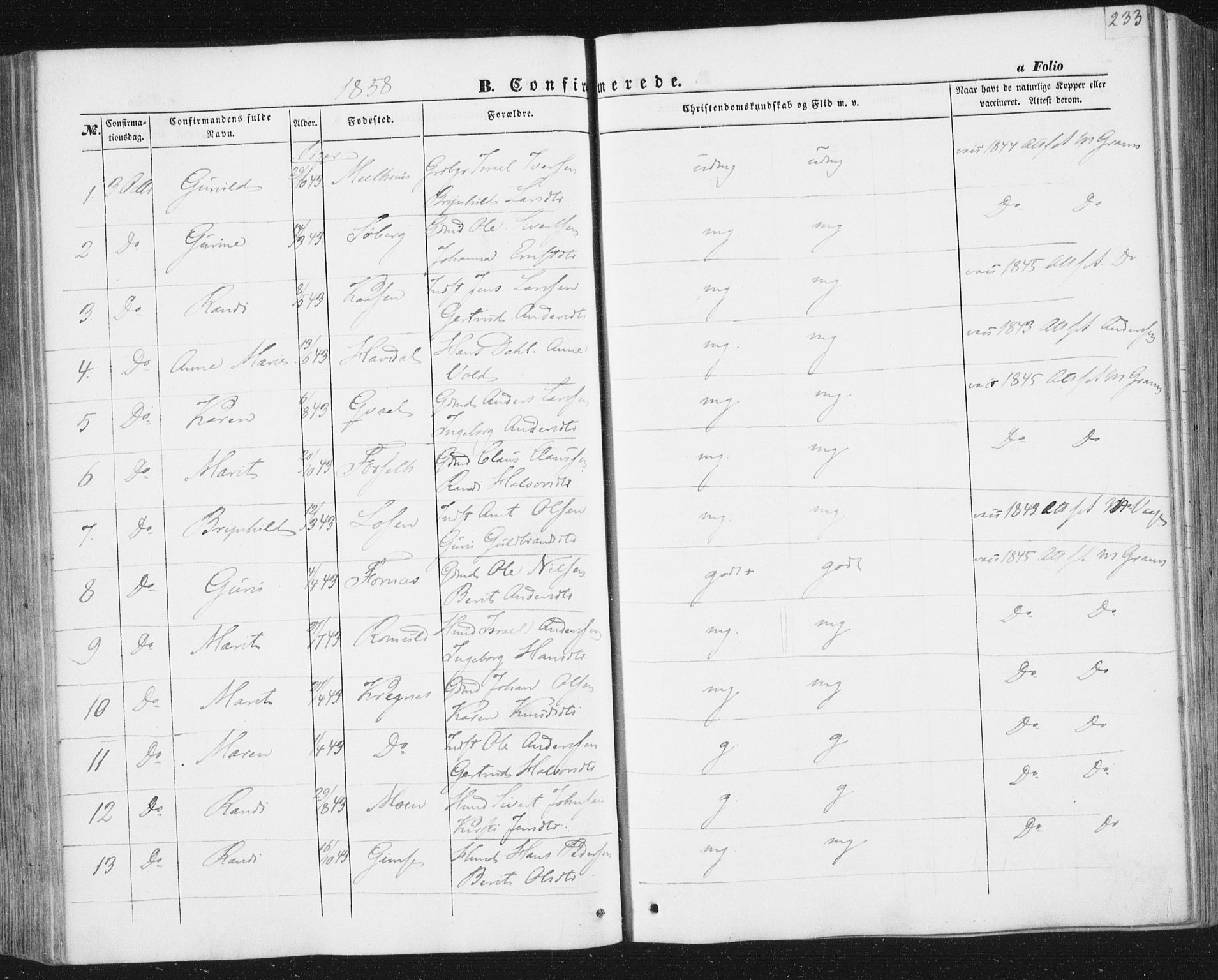Ministerialprotokoller, klokkerbøker og fødselsregistre - Sør-Trøndelag, SAT/A-1456/691/L1076: Parish register (official) no. 691A08, 1852-1861, p. 233