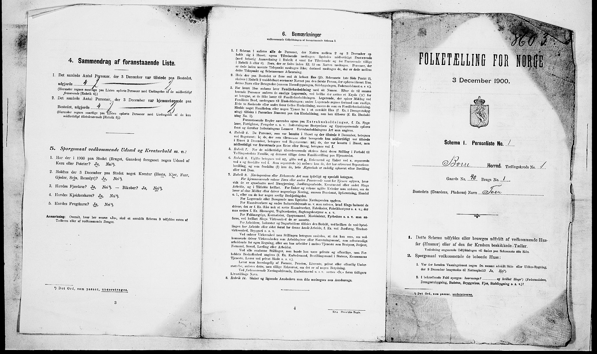 RA, 1900 census for Borre, 1900, p. 24