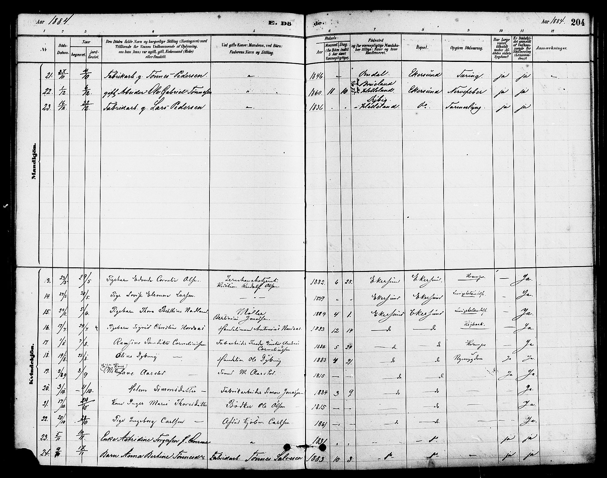 Eigersund sokneprestkontor, AV/SAST-A-101807/S08/L0015: Parish register (official) no. A 15, 1879-1892, p. 204